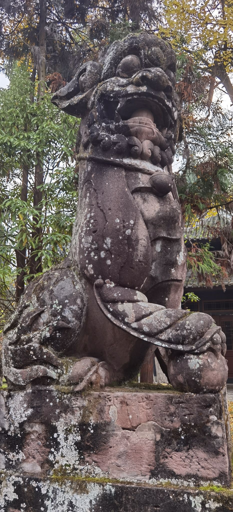 双桂堂旅行图片 2