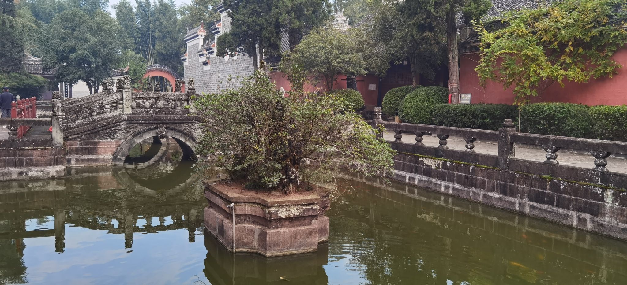 双桂堂旅行图片 3