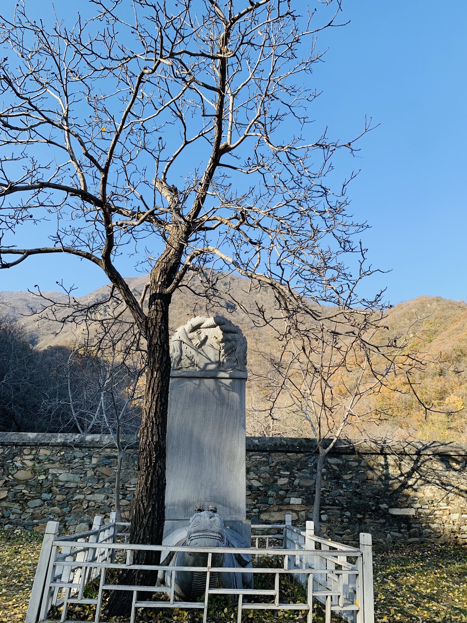 十字寺遗址旅行图片 3