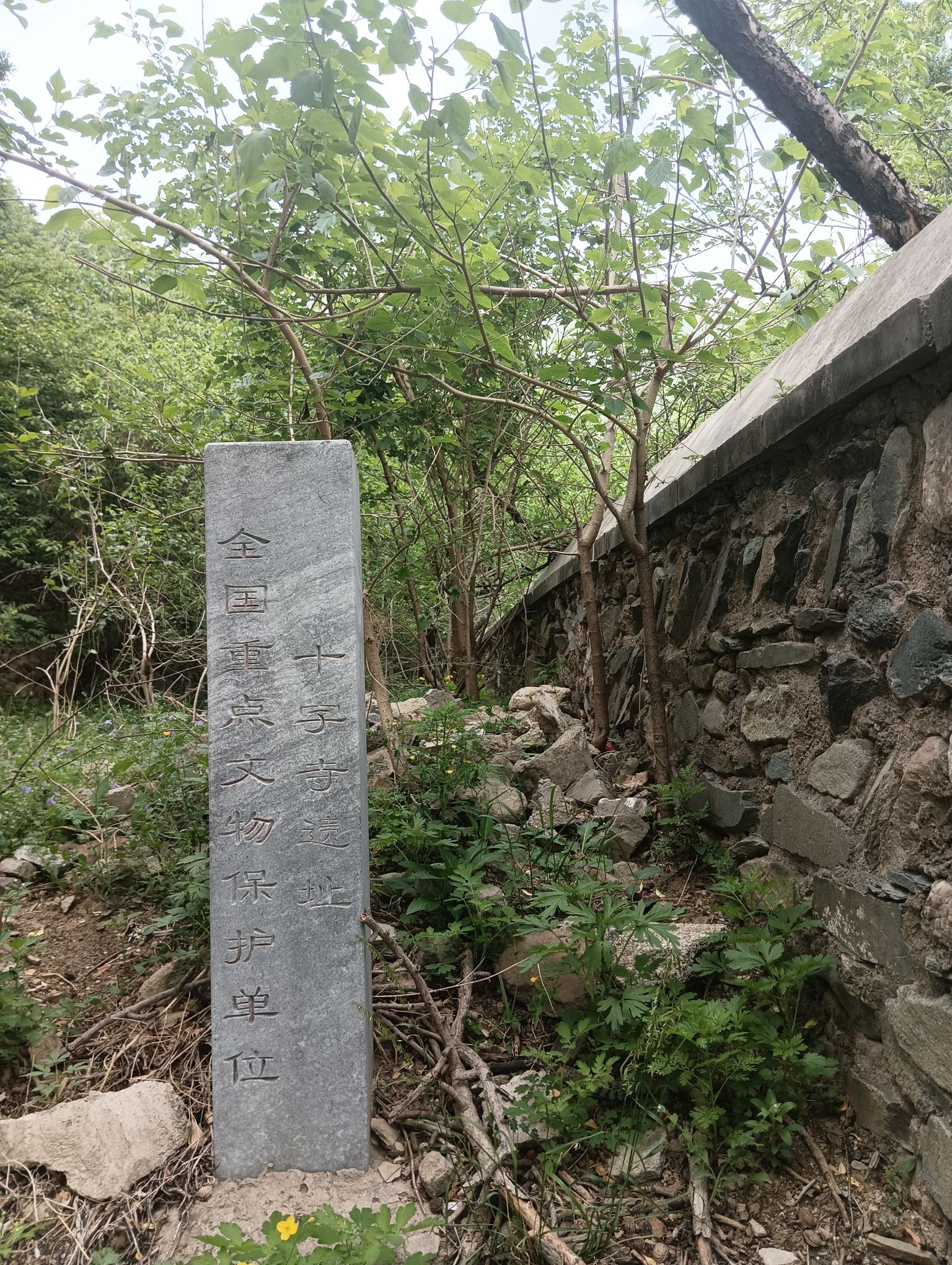 十字寺遗址旅行图片 2