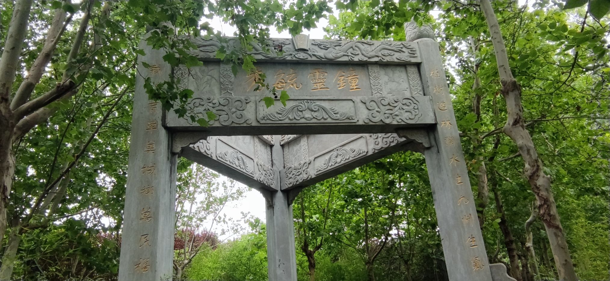 河口孤岛植物园旅行图片 3
