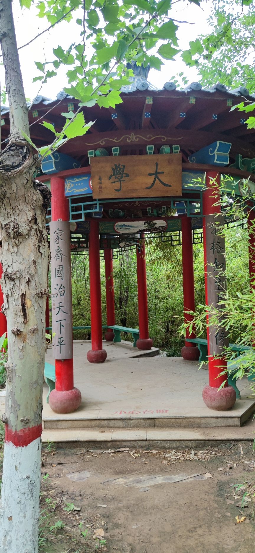 河口孤岛植物园旅行图片 2