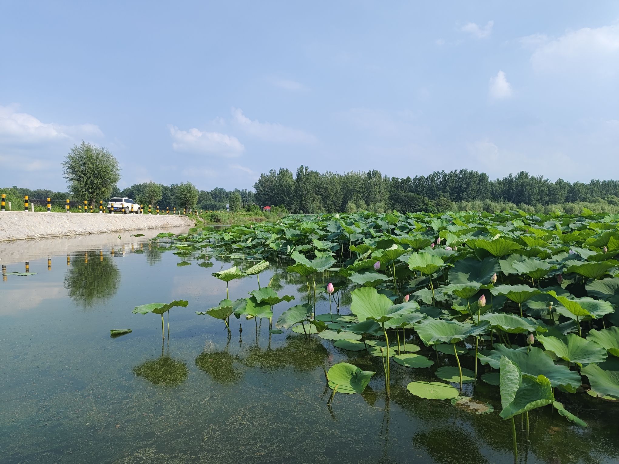 武河湿地公园旅行图片 1
