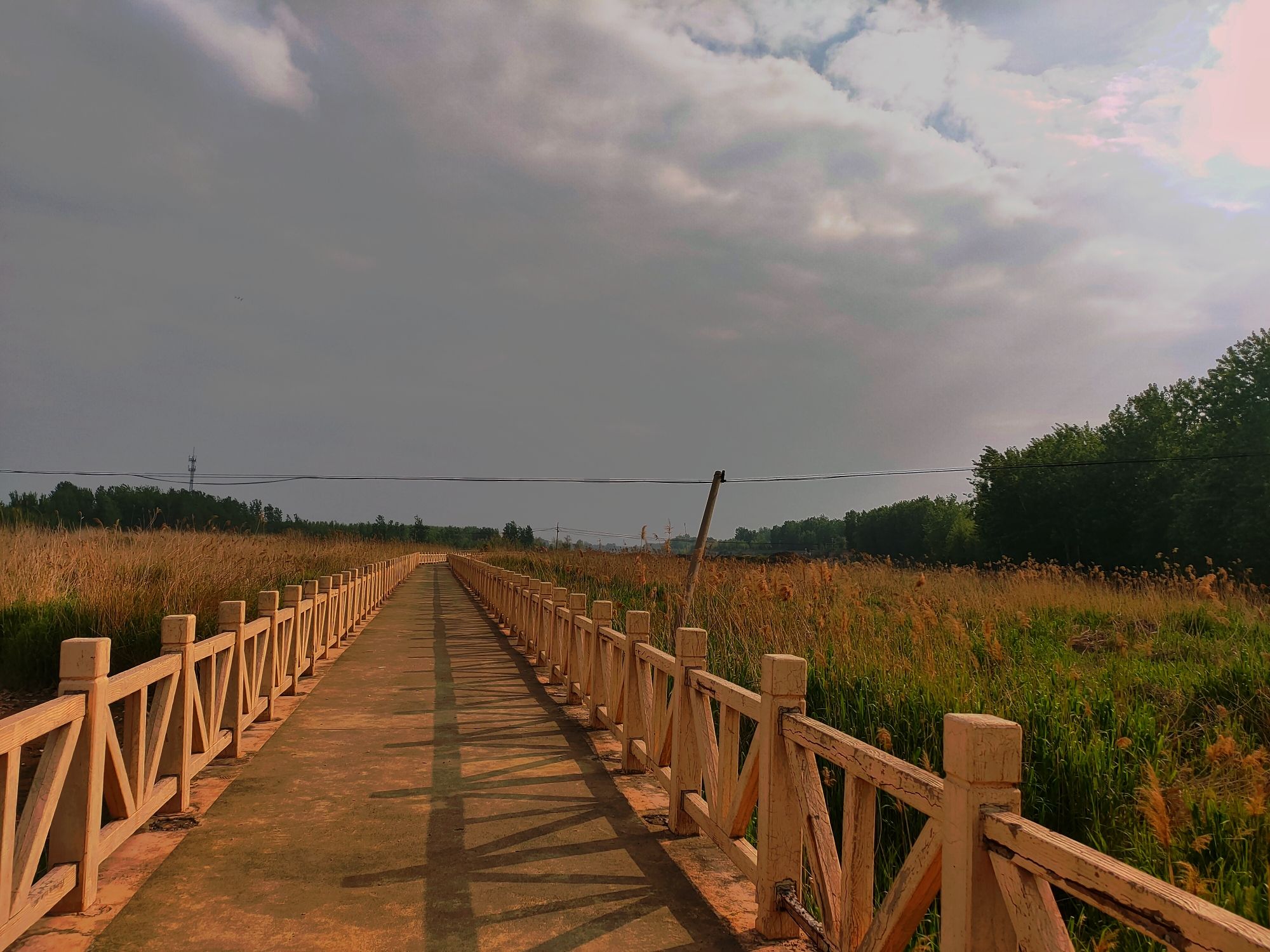 武河湿地公园旅行图片 3
