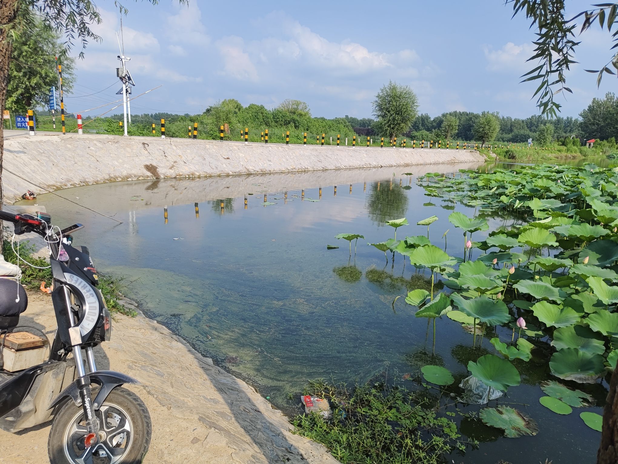 武河湿地公园旅行图片 2