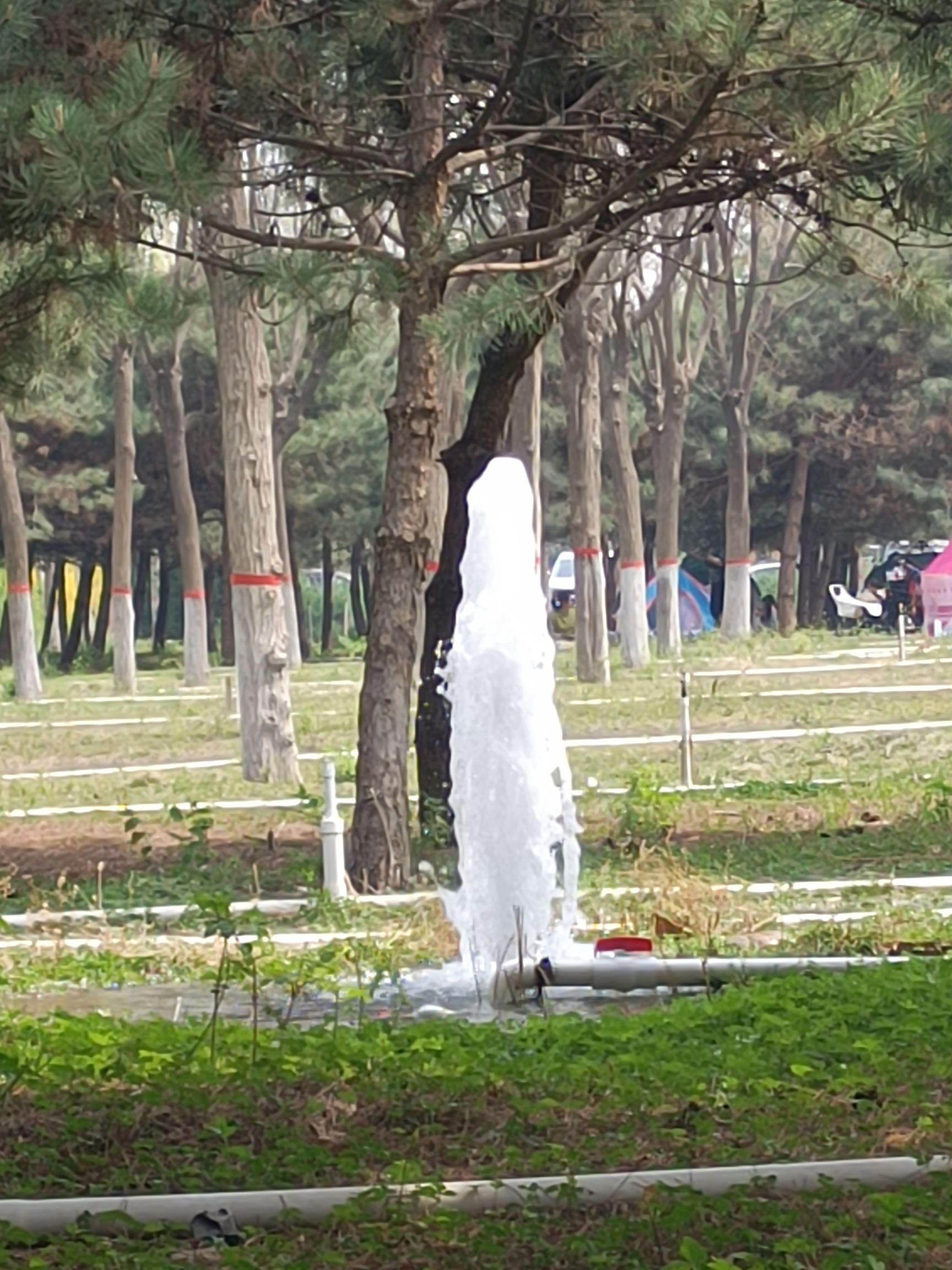 滹沱河生态旅游景区旅行图片 3