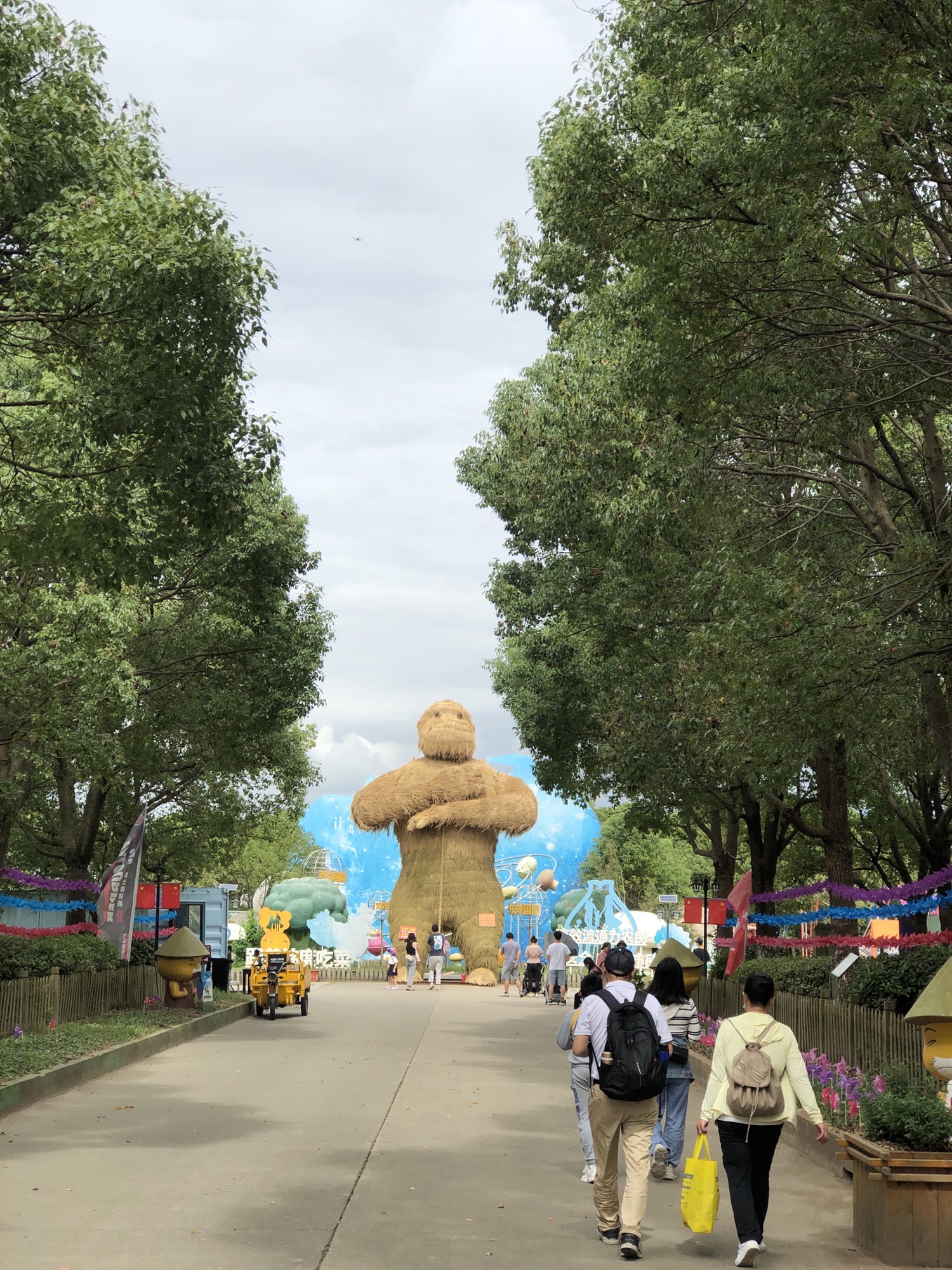 上海都市菜园旅行图片 1