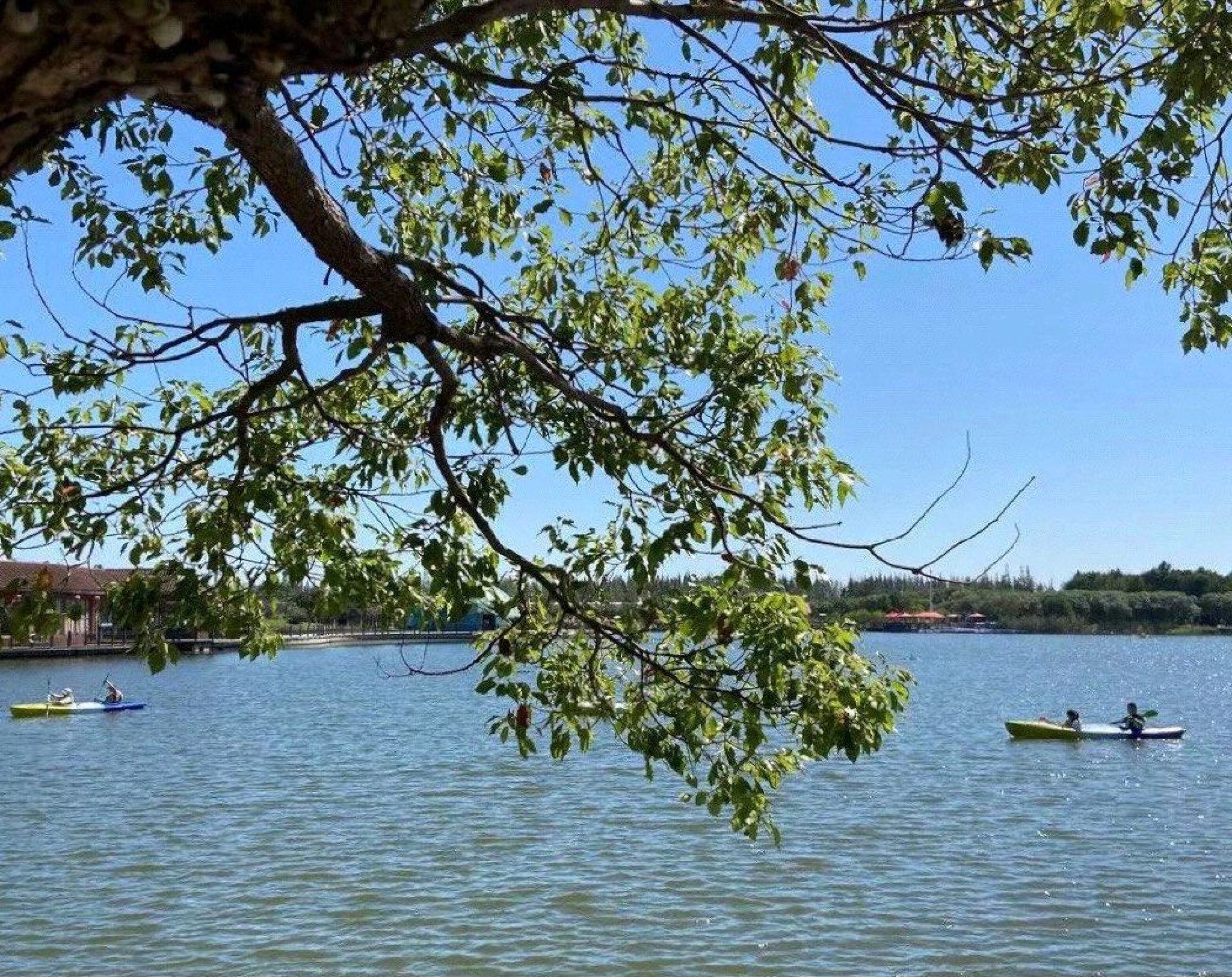 上海都市菜园旅行图片 1