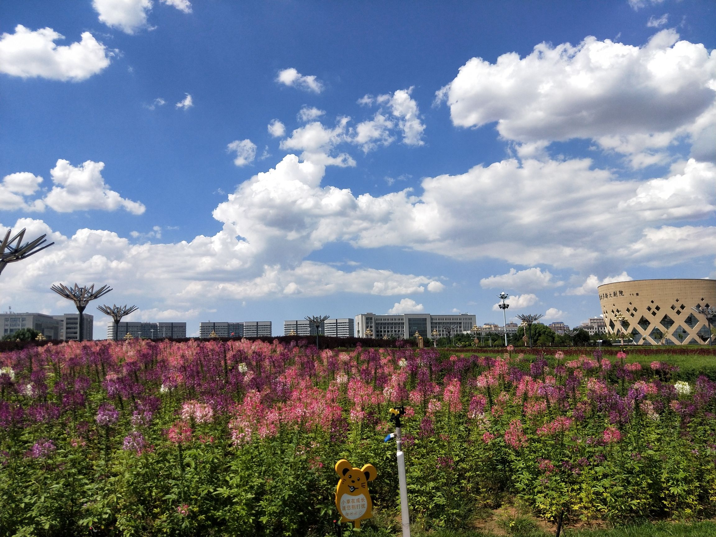 康巴什旅游区旅行图片 3