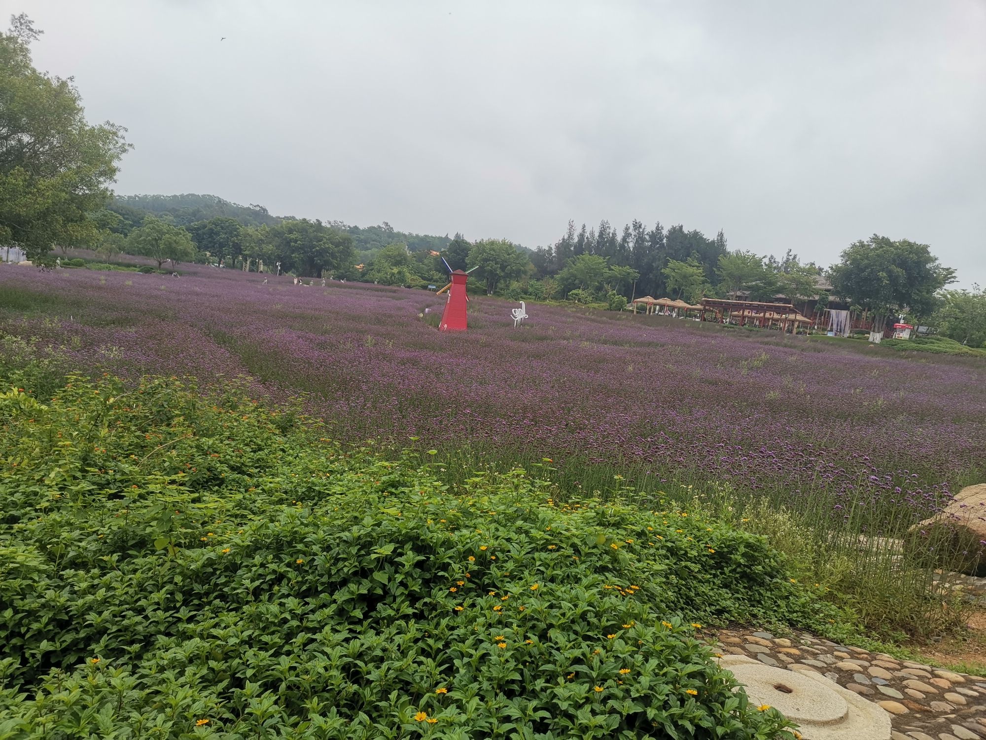 香山郊野公园旅行图片 3