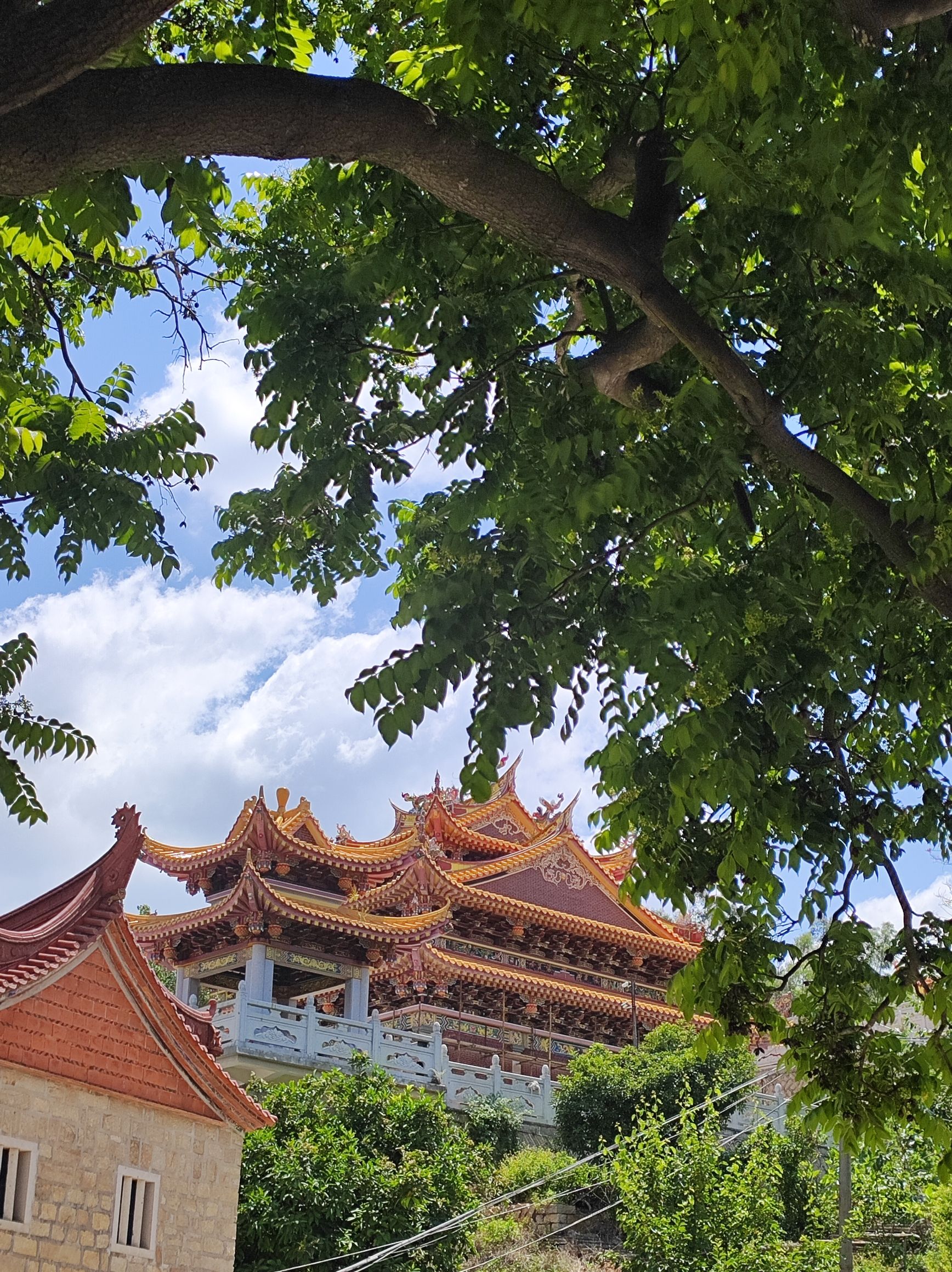 香山郊野公园旅行图片 1