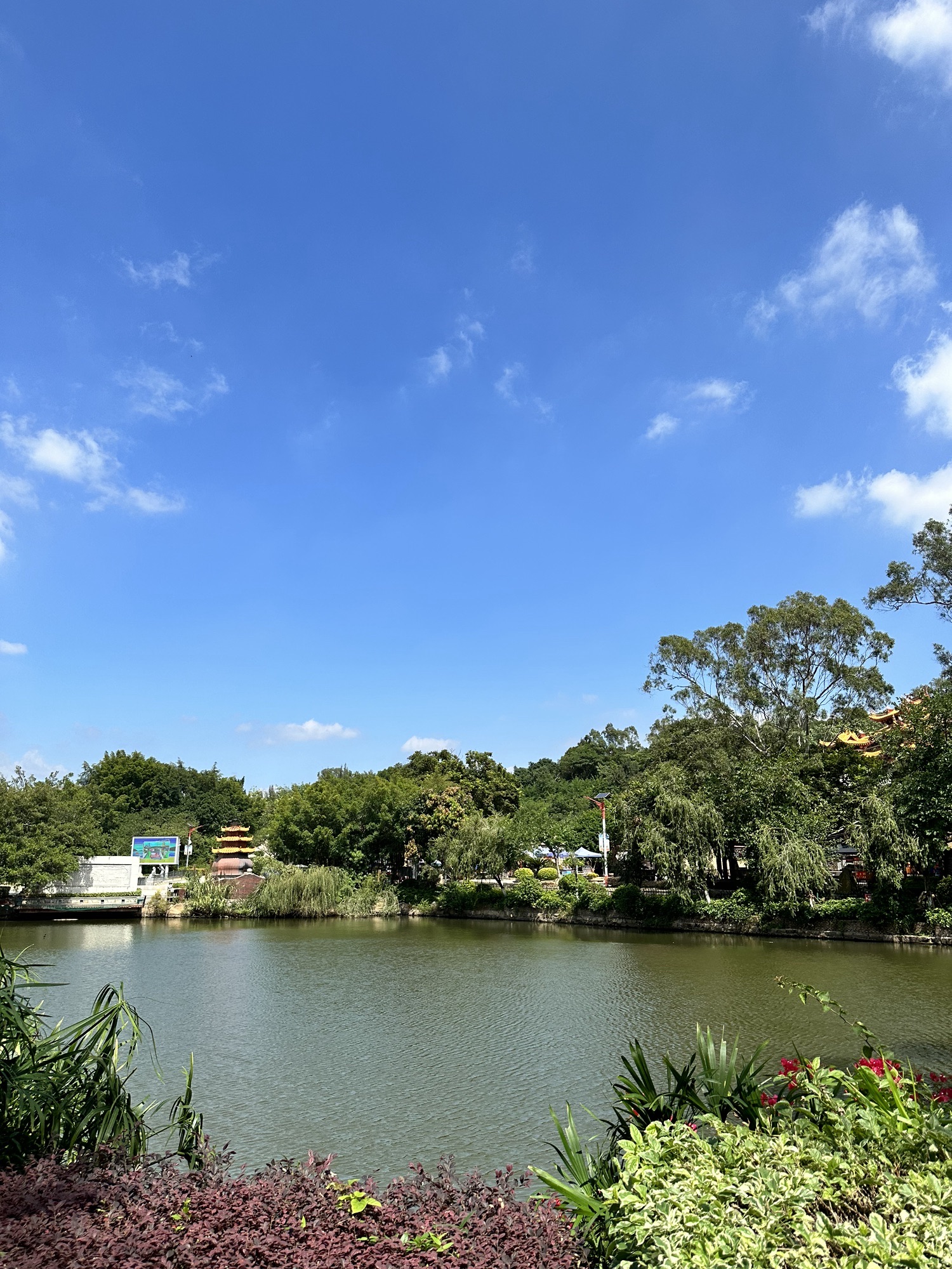 香山郊野公园旅行图片 2