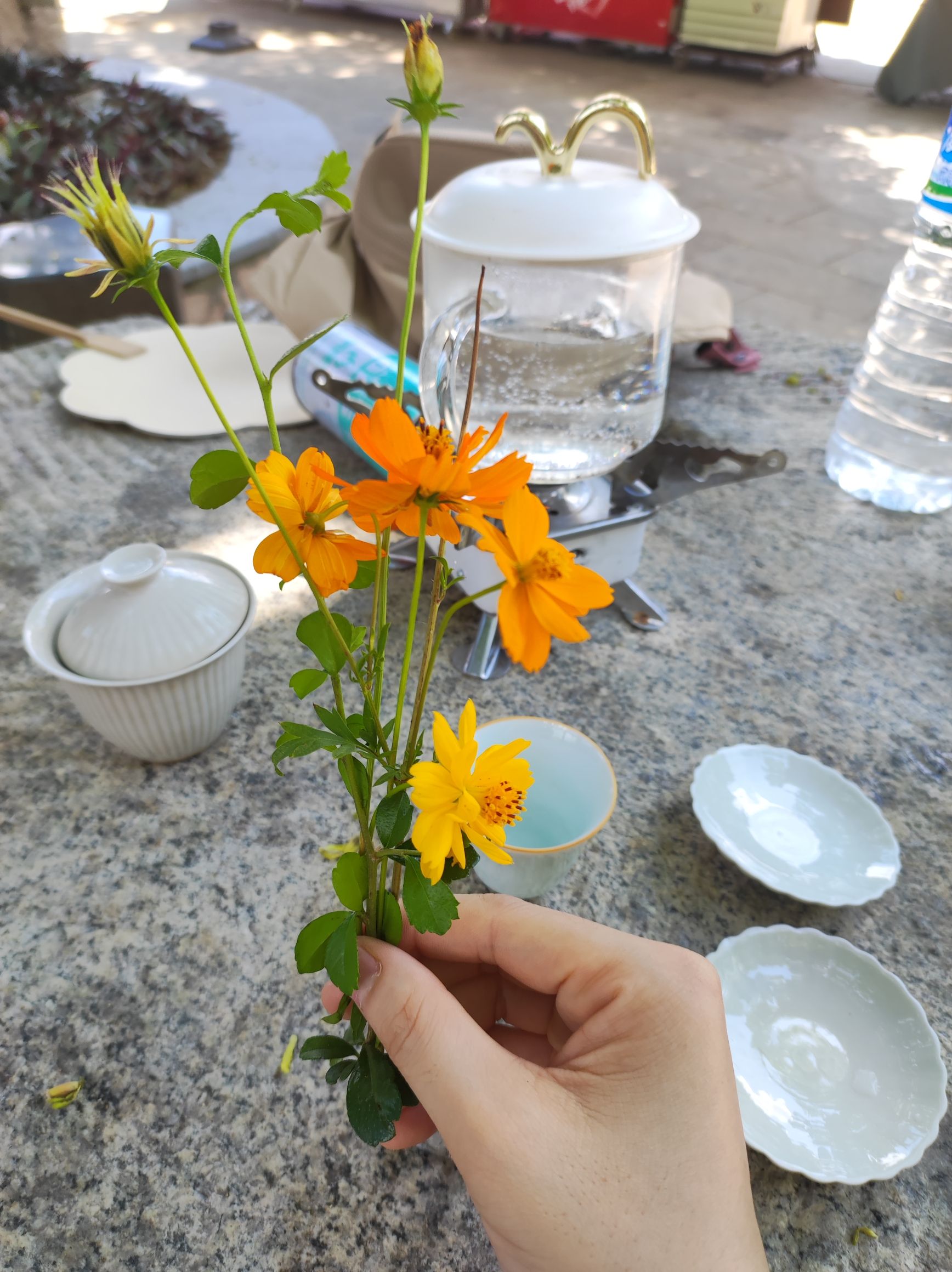 香山郊野公园旅行图片 3