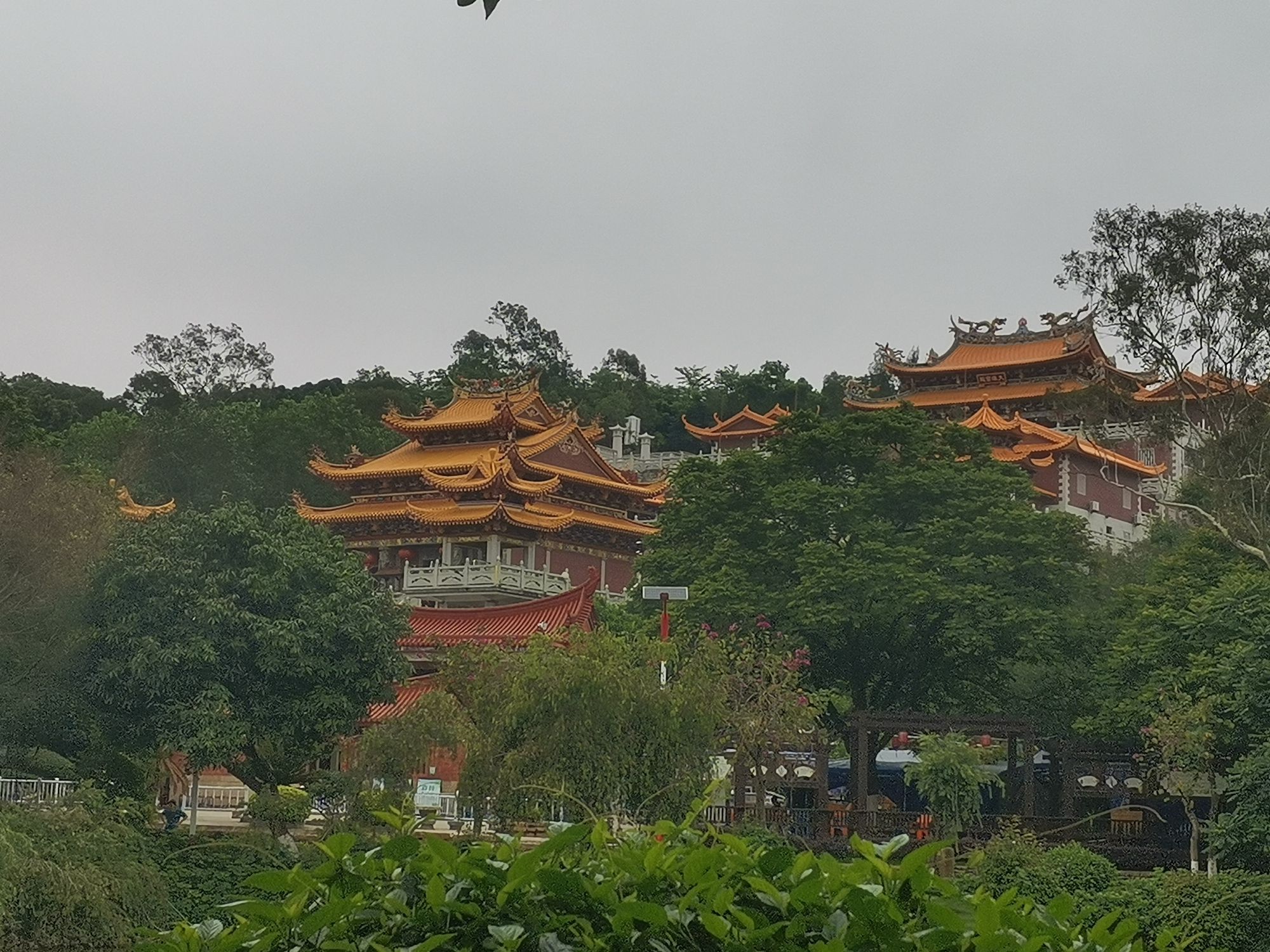 香山郊野公园旅行图片 2