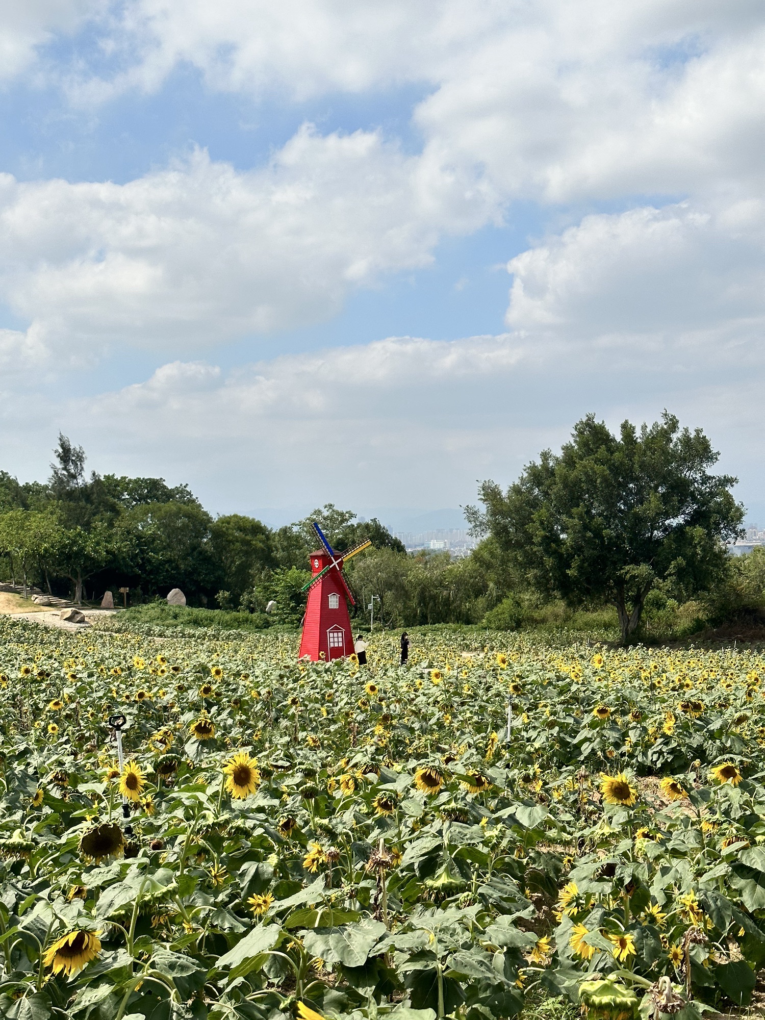 香山郊野公园旅行图片 1