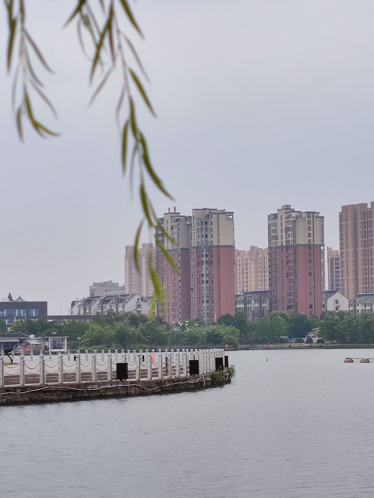淠阳湖公园旅行图片 2