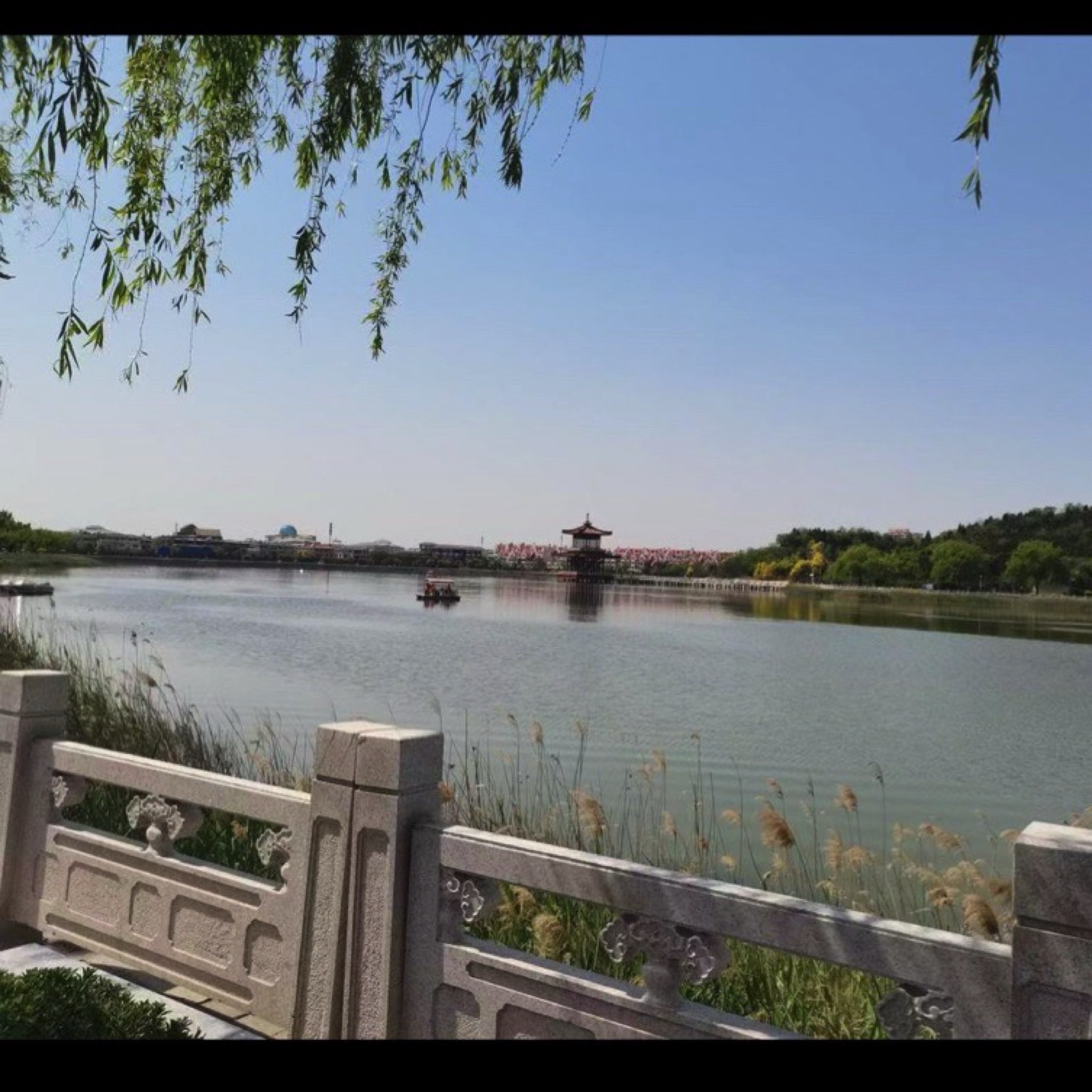 望海山公园旅行图片 3