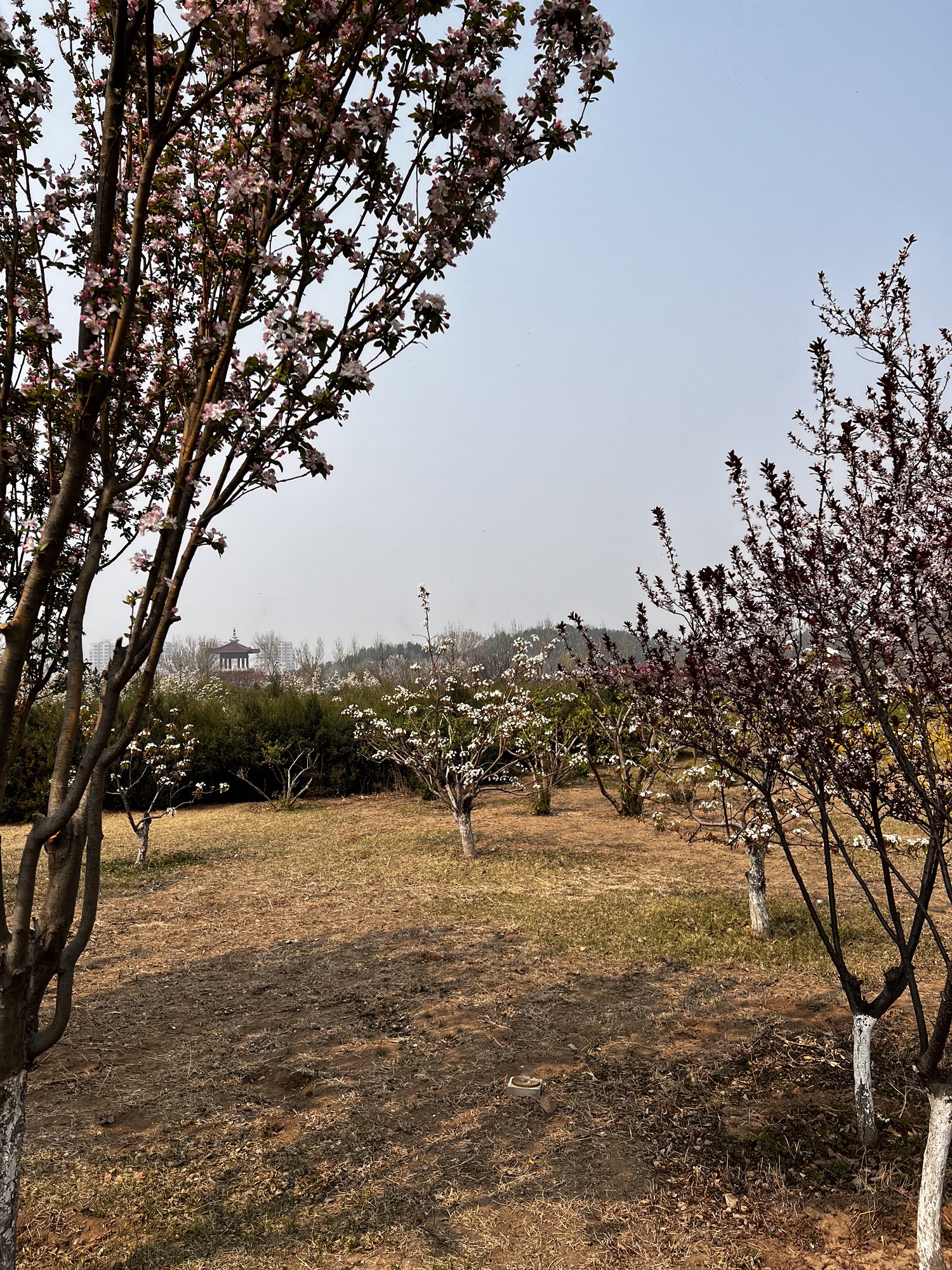 望海山公园旅行图片 2