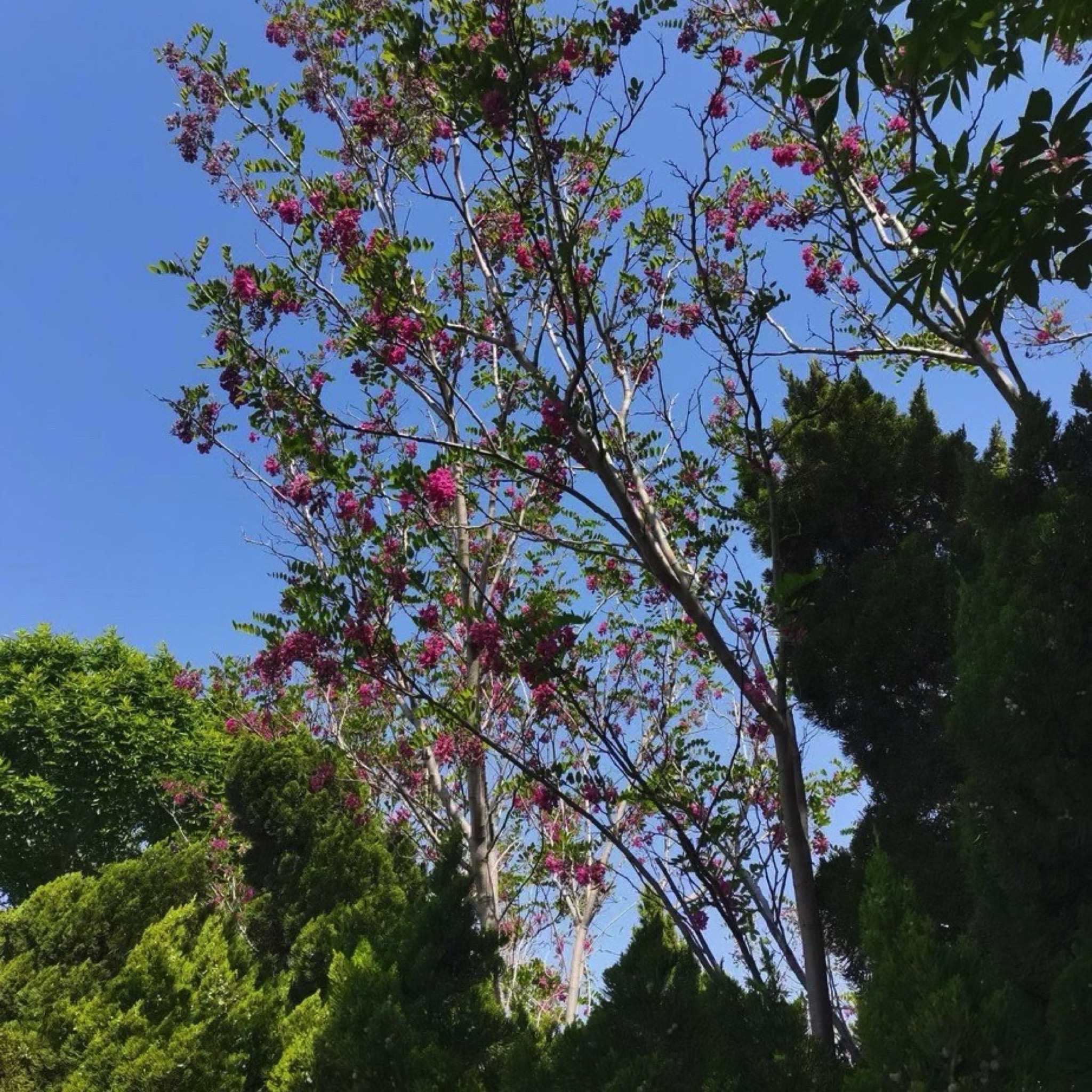 望海山公园旅行图片 2