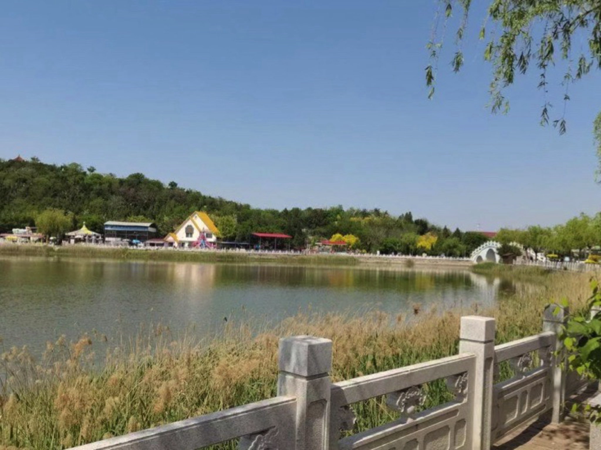 望海山公园旅行图片 1