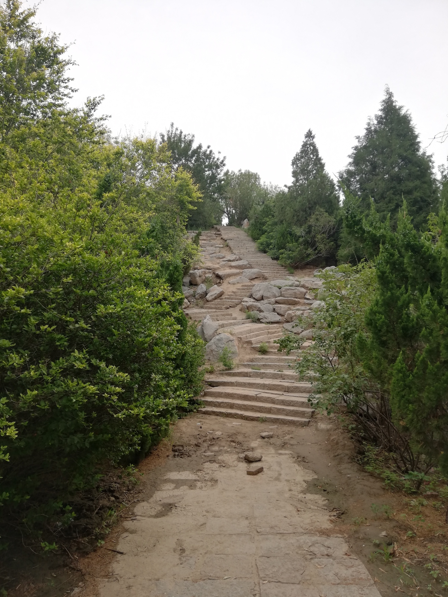 望海山公园旅行图片 2