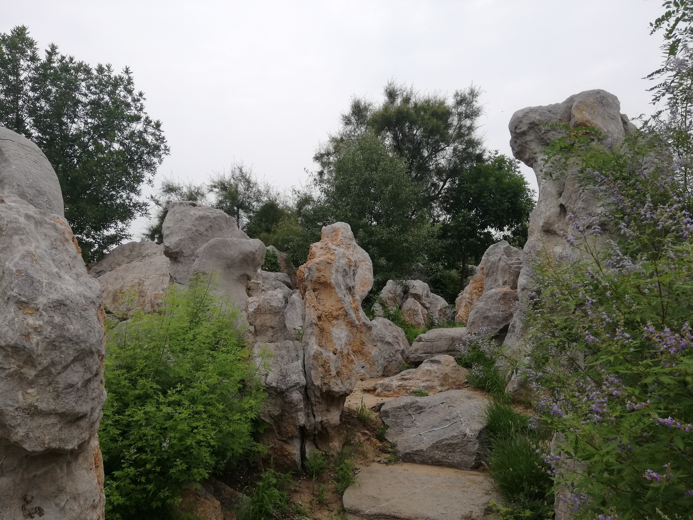 望海山公园旅行图片 3