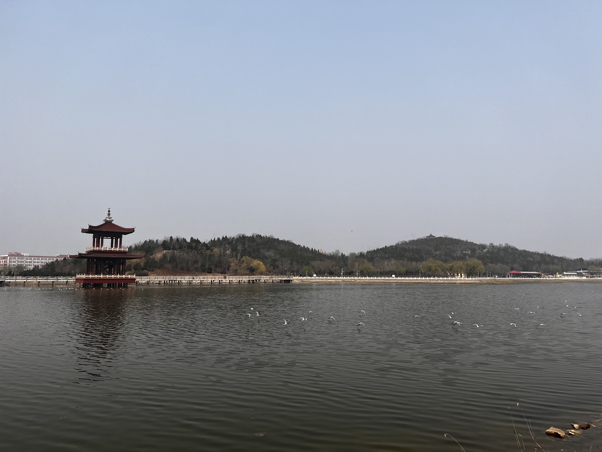 望海山公园旅行图片 3