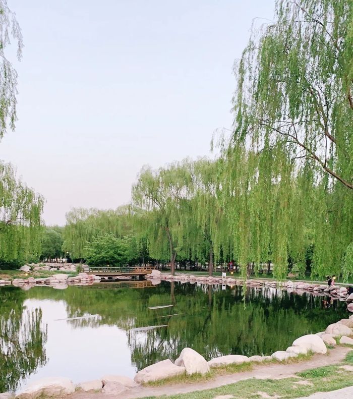 玉泉山(暂停开放)旅行图片 3