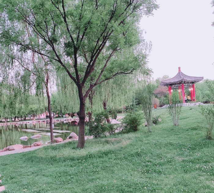 玉泉山(暂停开放)旅行图片 2