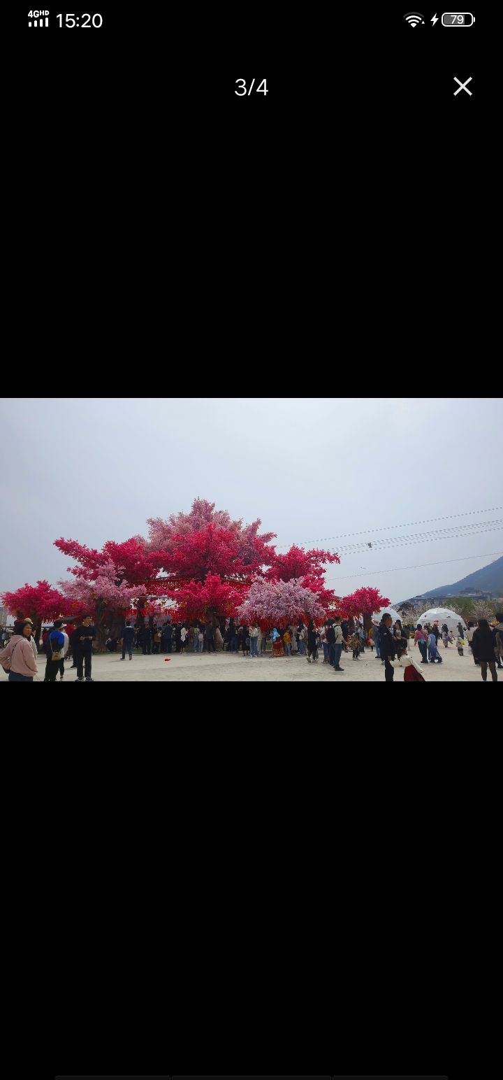 玉泉山(暂停开放)旅行图片 1