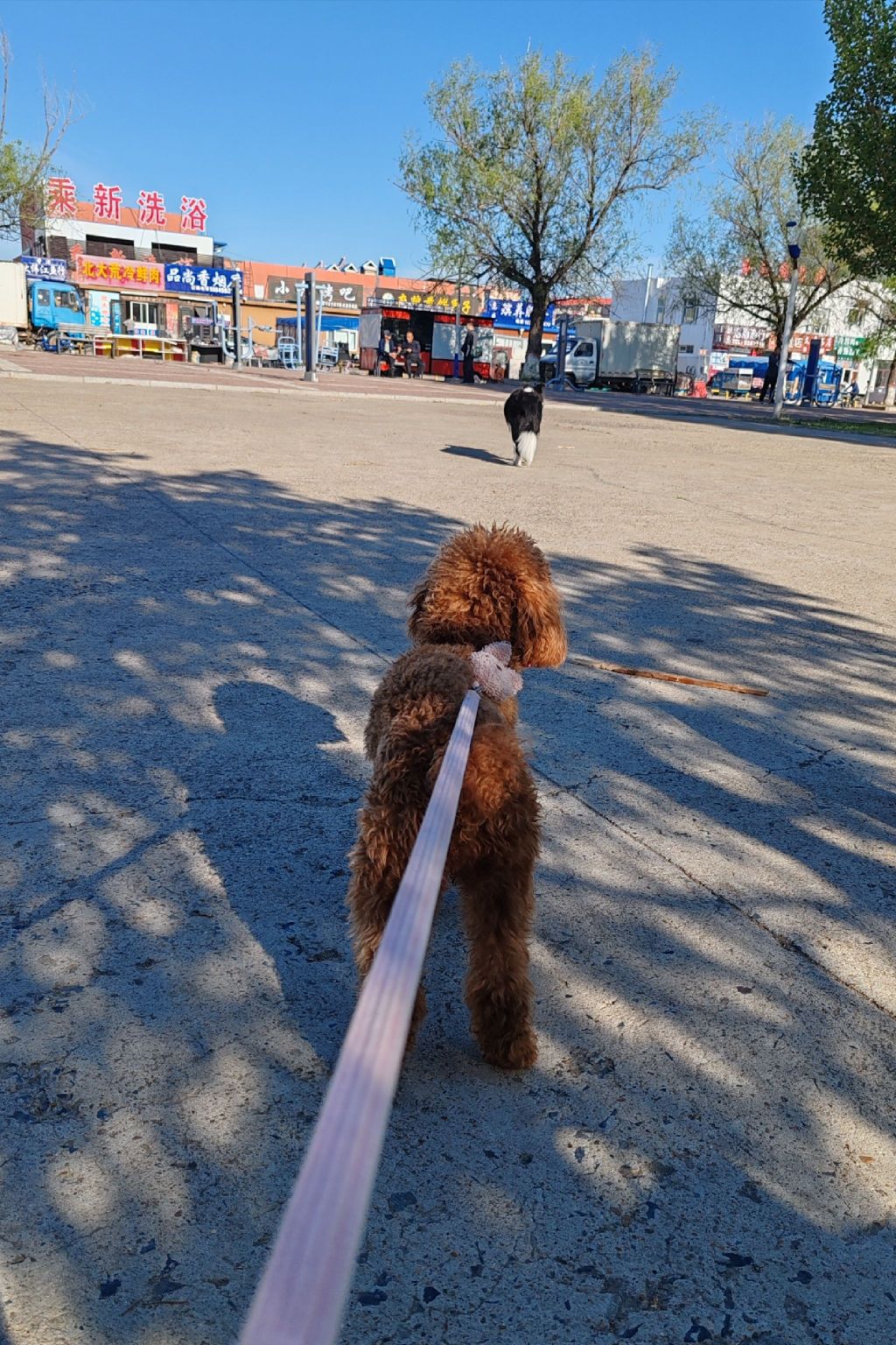 康乐园(总院集团乘新二区社区卫生服务站西)旅行图片 3