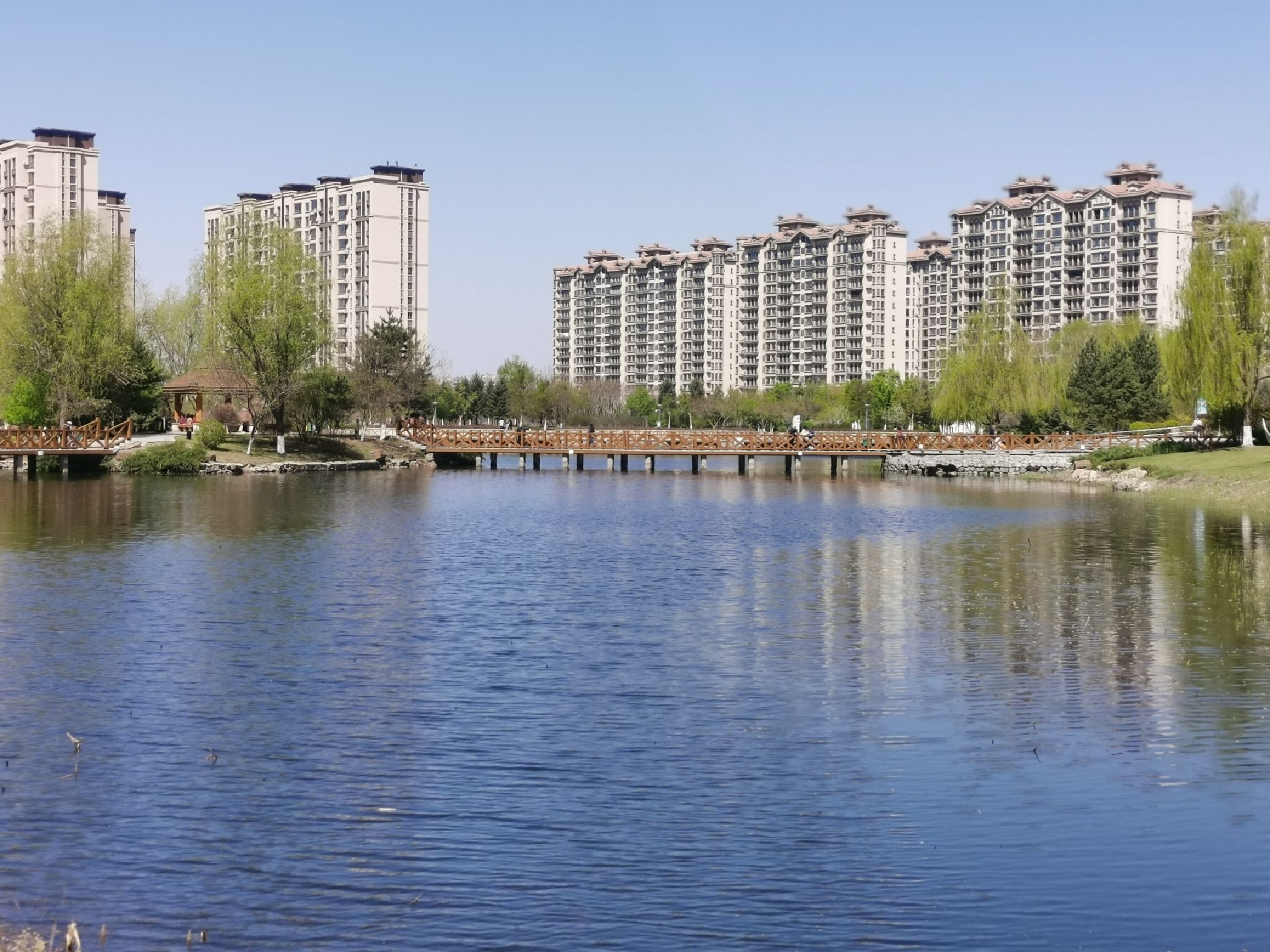 兰桡湖公园旅行图片 1
