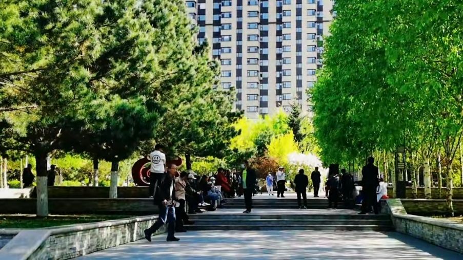 兰桡湖公园旅行图片 3
