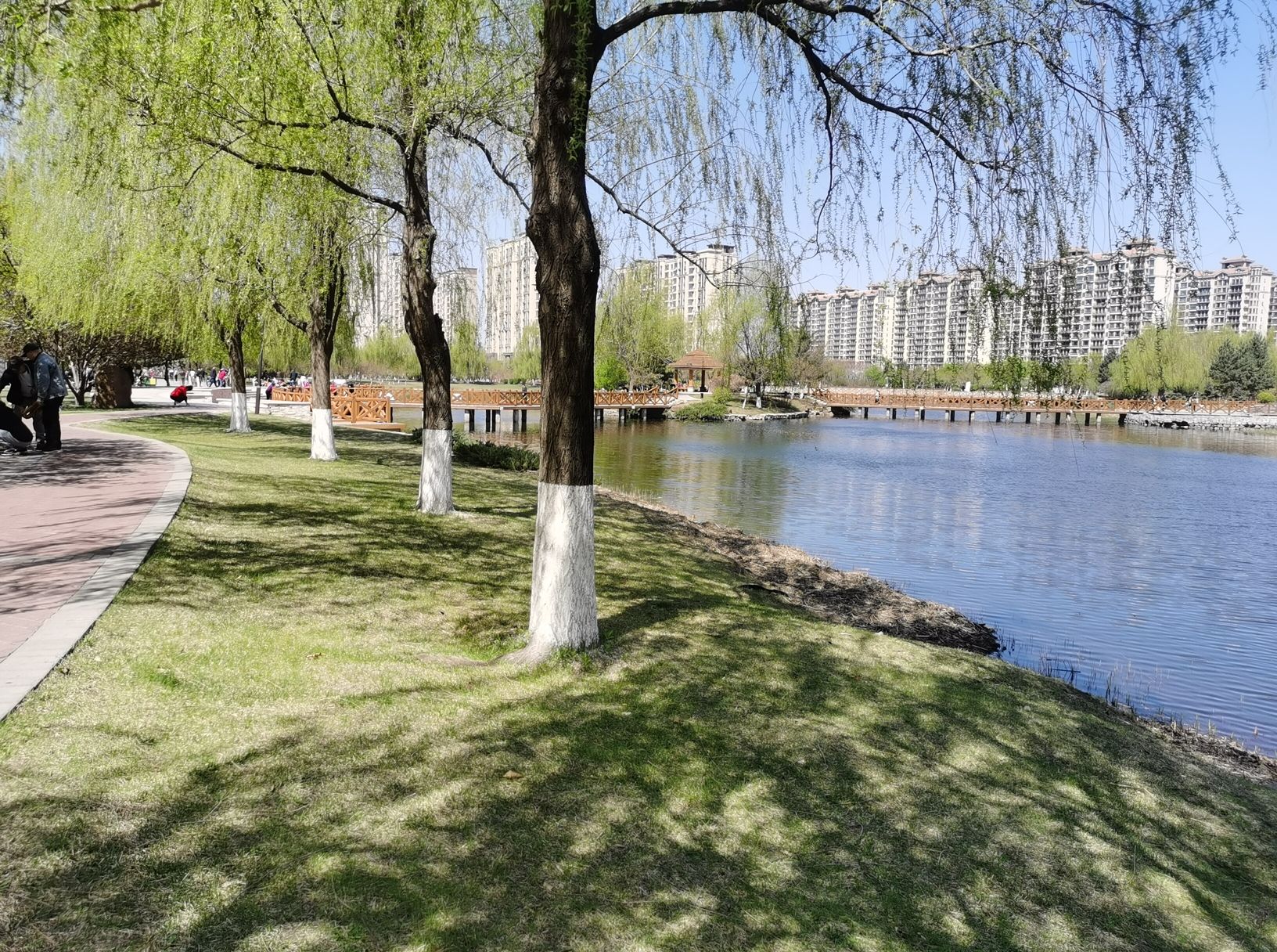 兰桡湖公园旅行图片 3