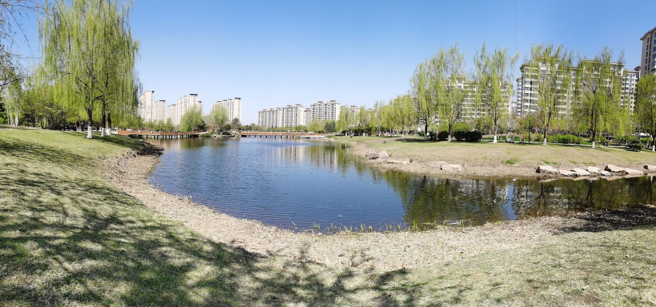 兰桡湖公园旅行图片 2