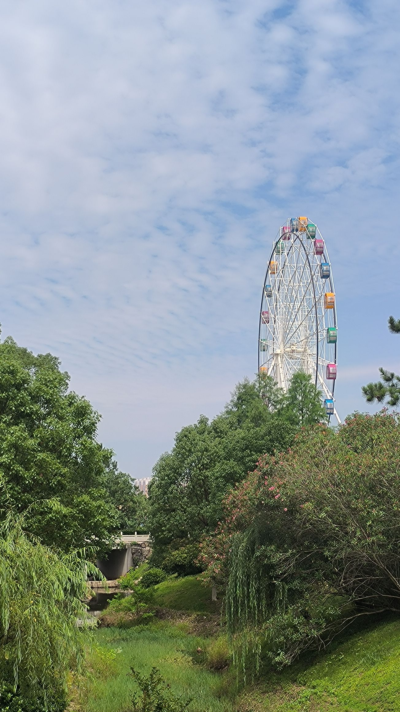 孝文化公园旅行图片 2