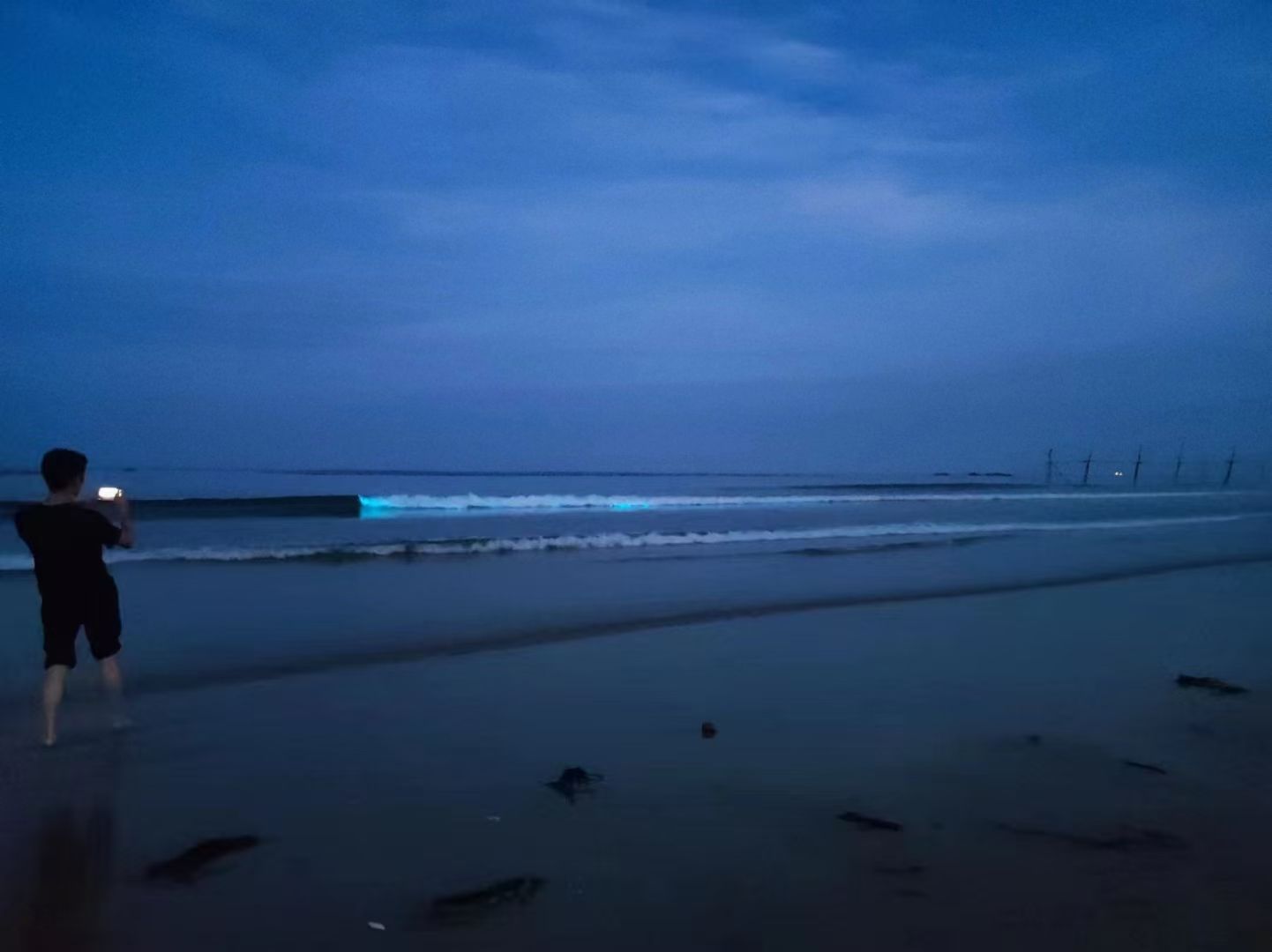 漳州七星海旅行图片 2