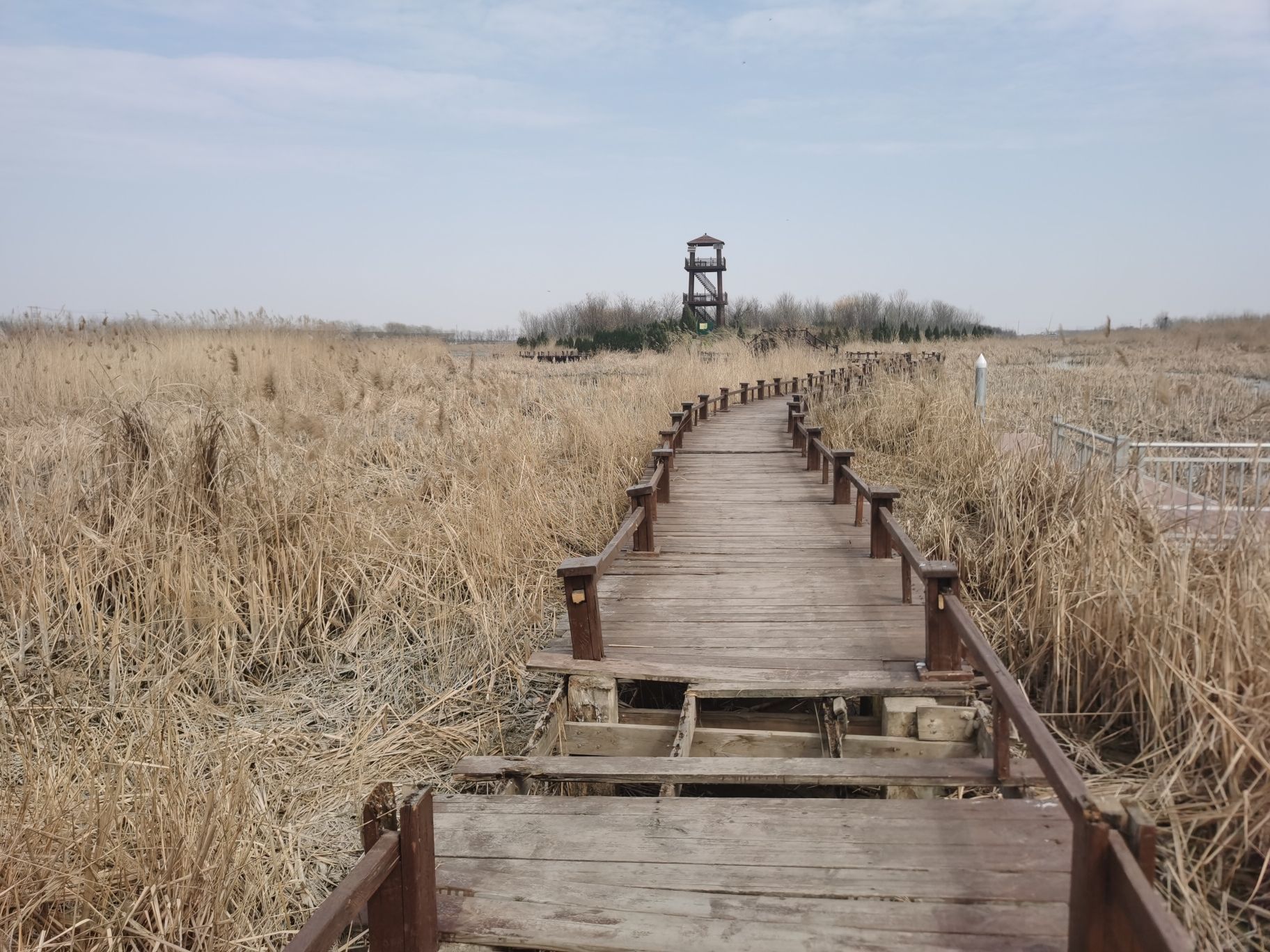 禹王国家湿地公园旅行图片 2