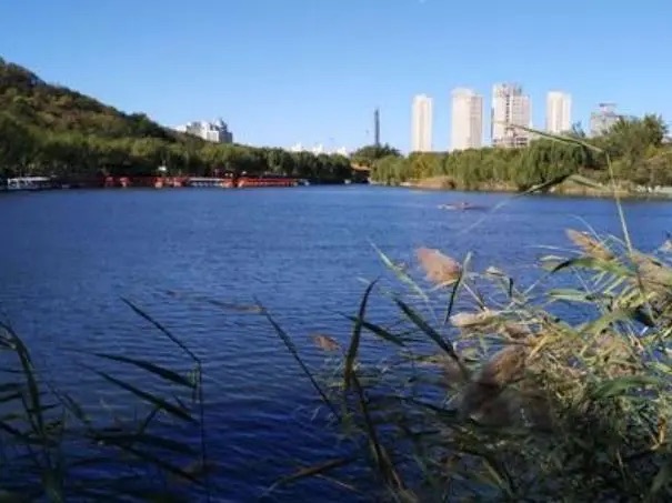 禹王国家湿地公园旅行图片 2