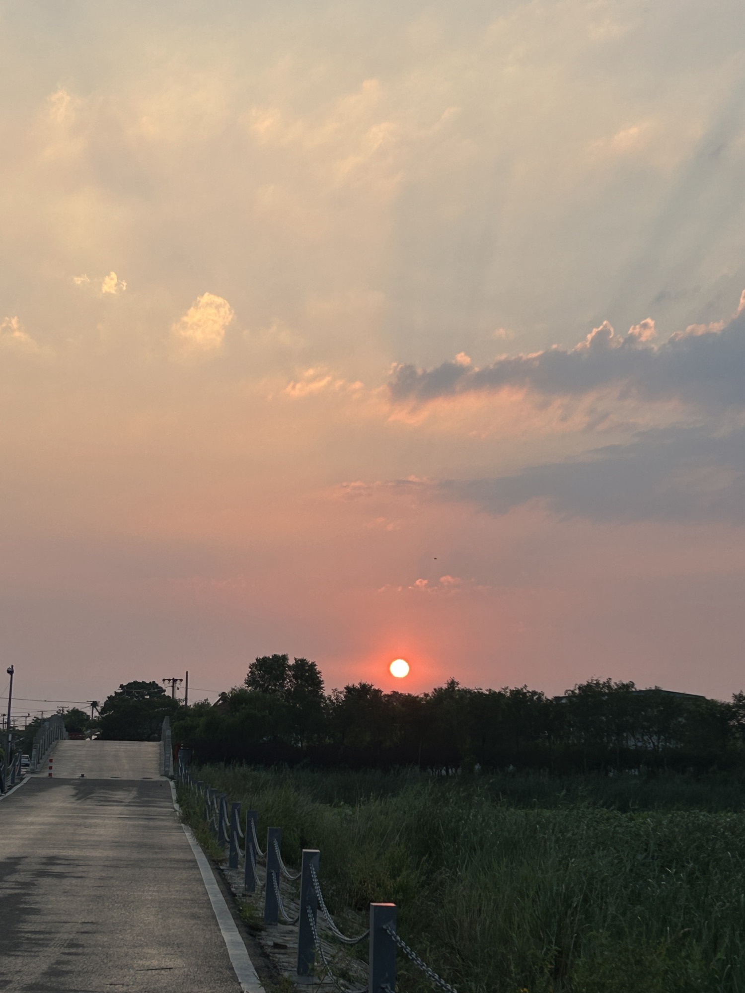 禹王国家湿地公园旅行图片 1