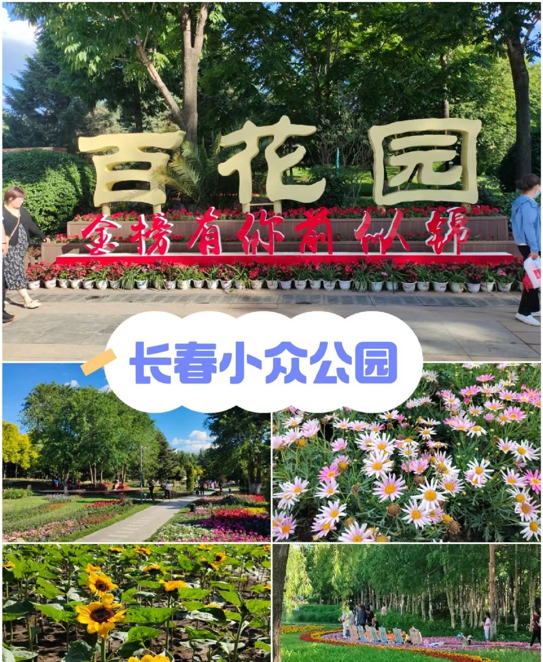 长春市百花园旅行图片 1