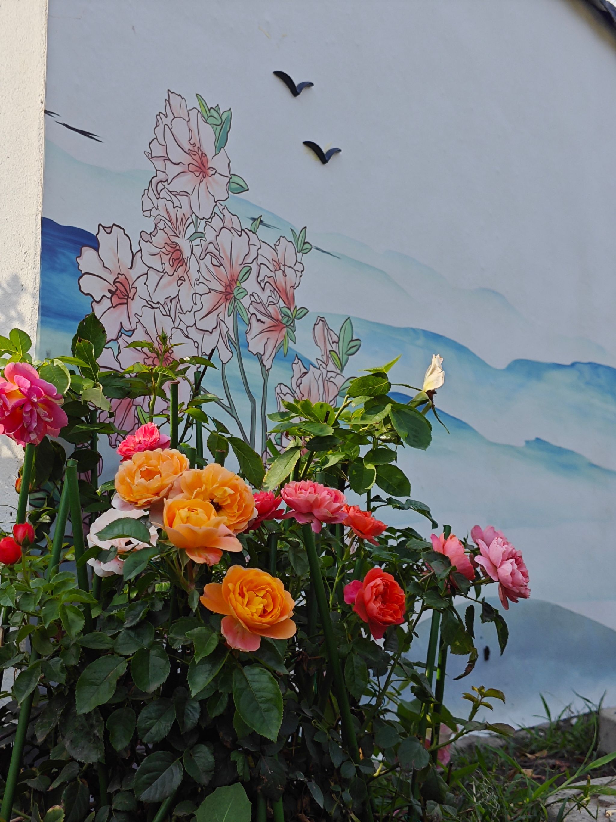 长春市百花园旅行图片 1