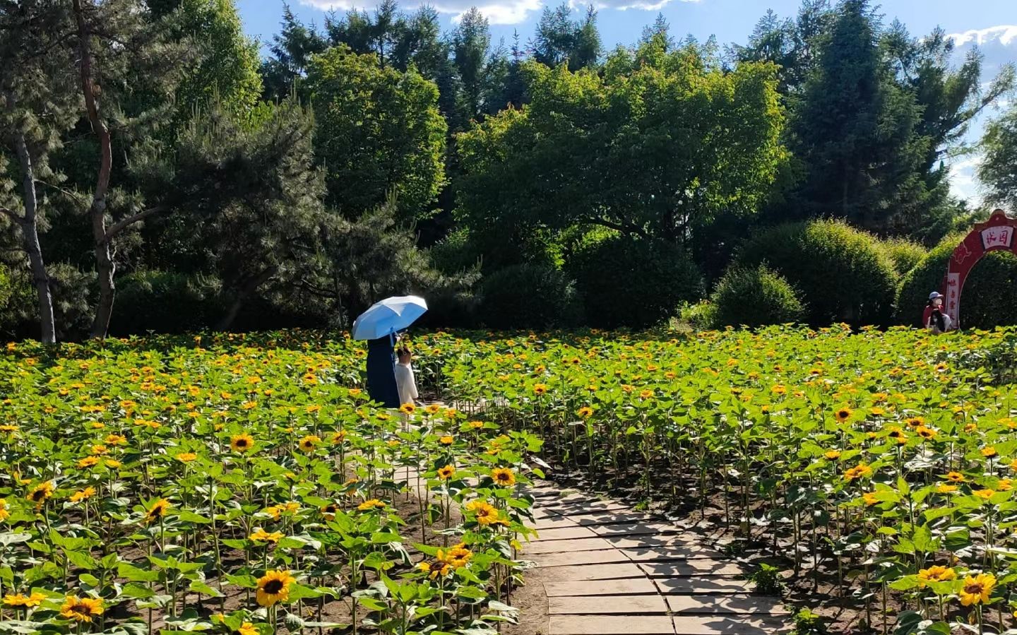 长春市百花园旅行图片 2