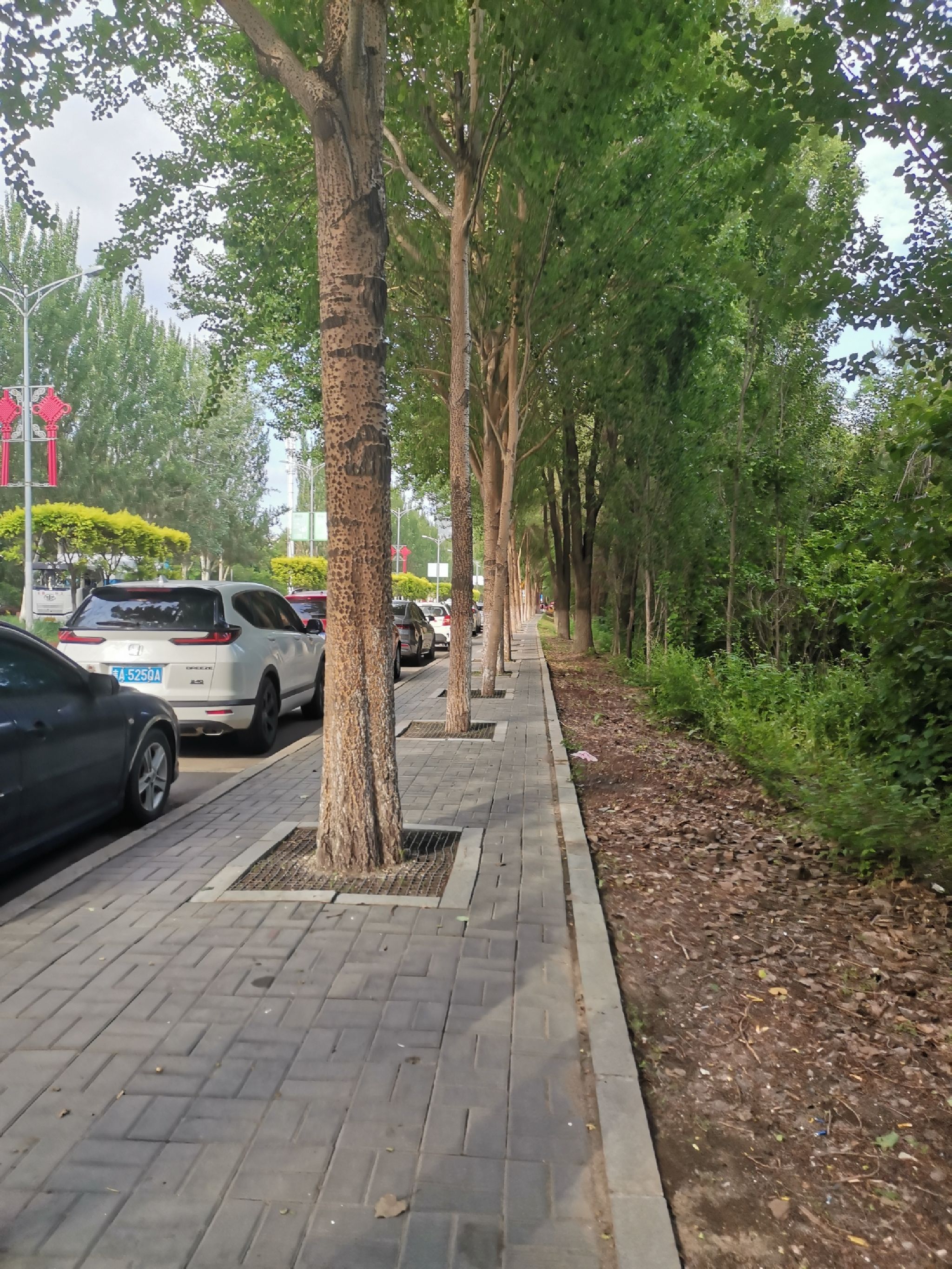 长春市百花园旅行图片 3