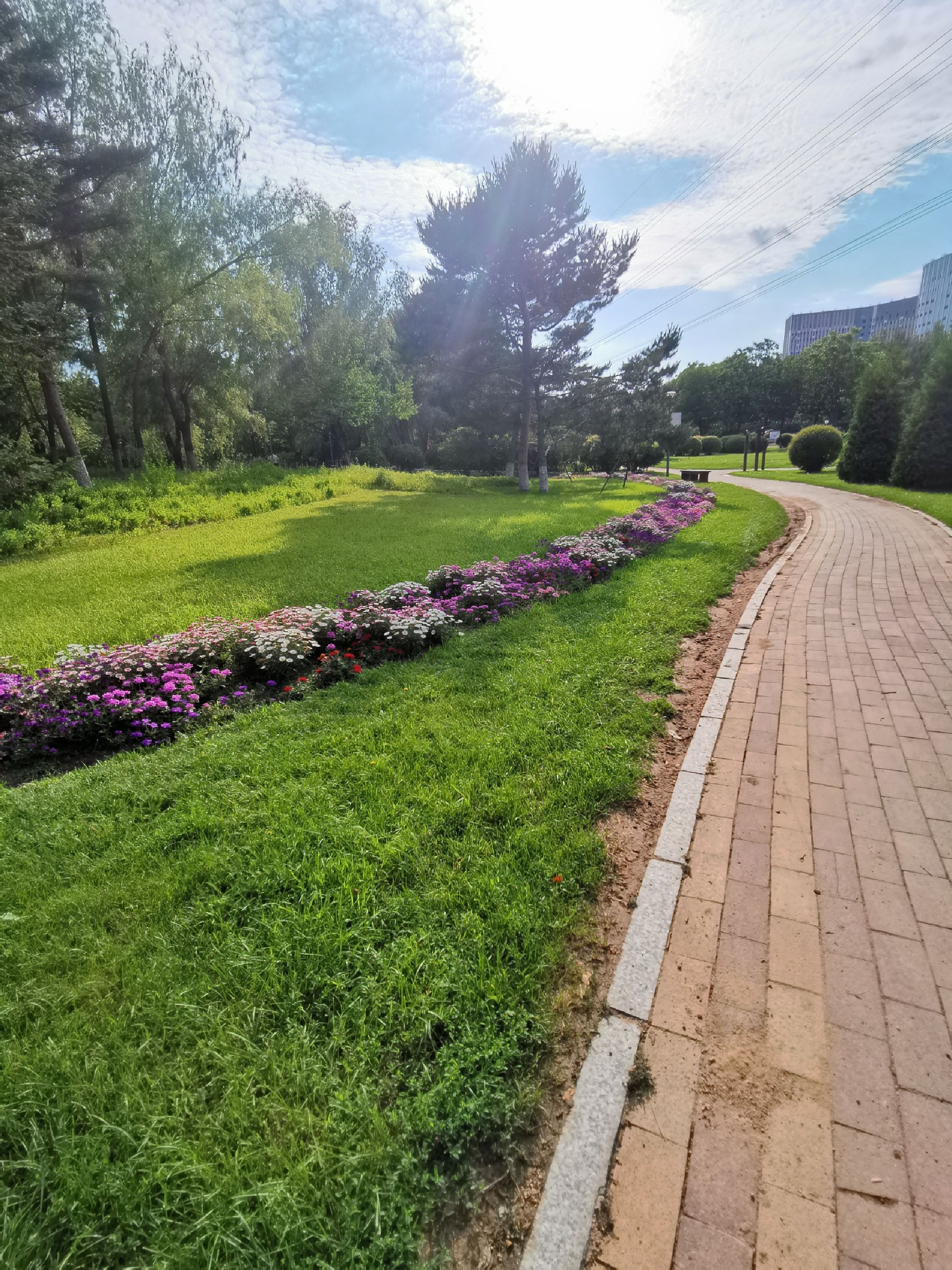 长春市百花园旅行图片 2