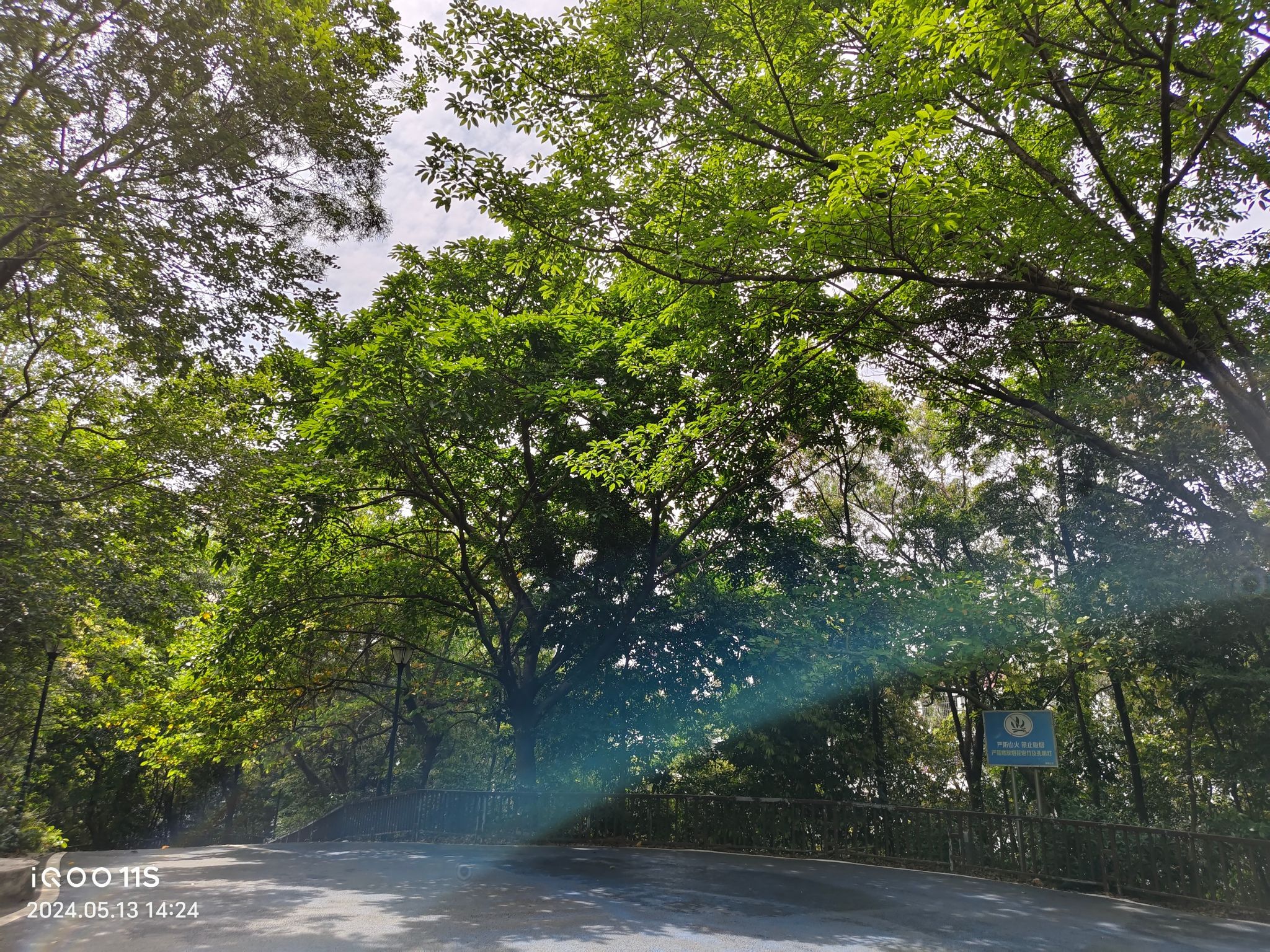 育德山公园旅行图片 1