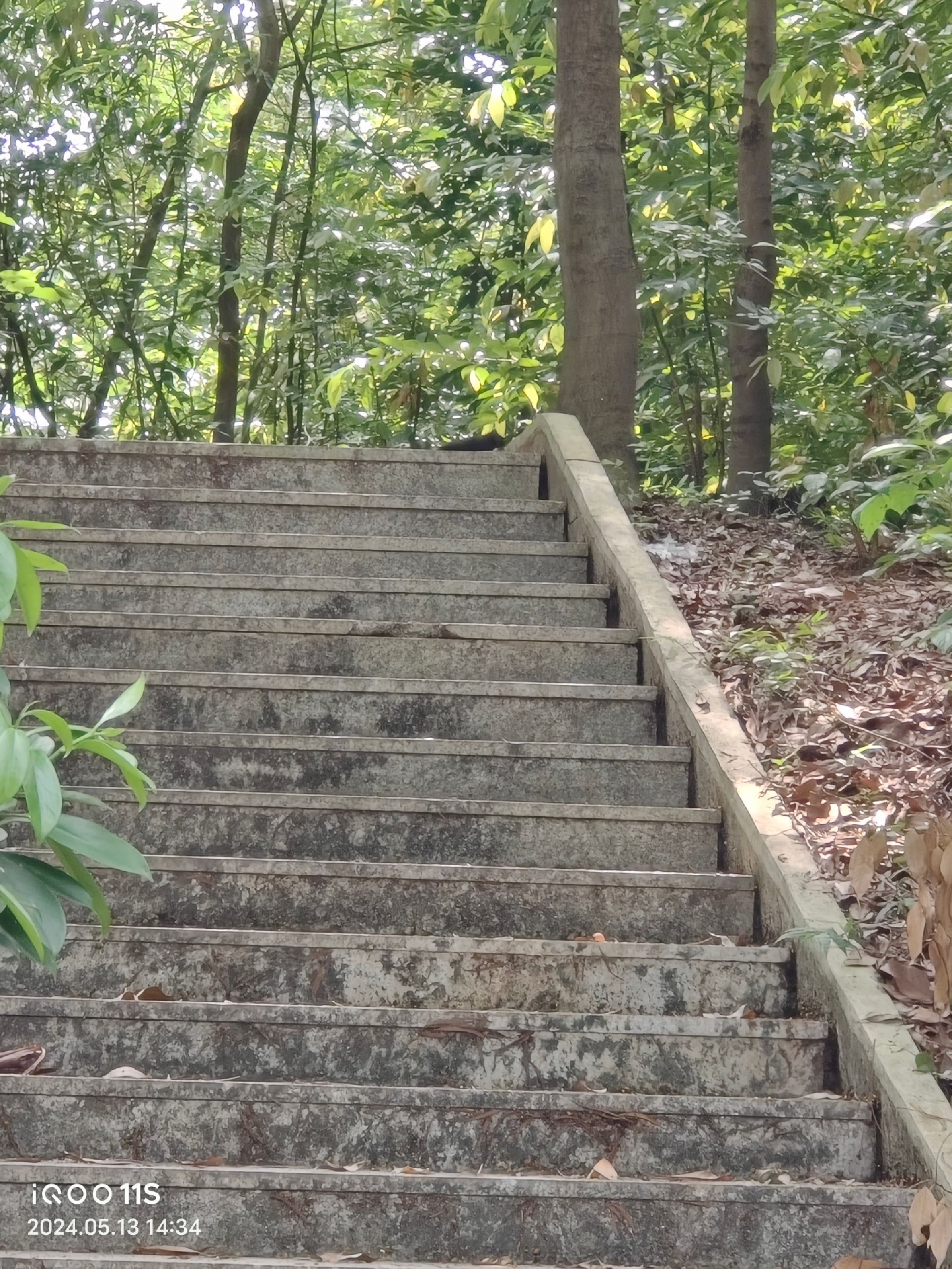 育德山公园旅行图片 3