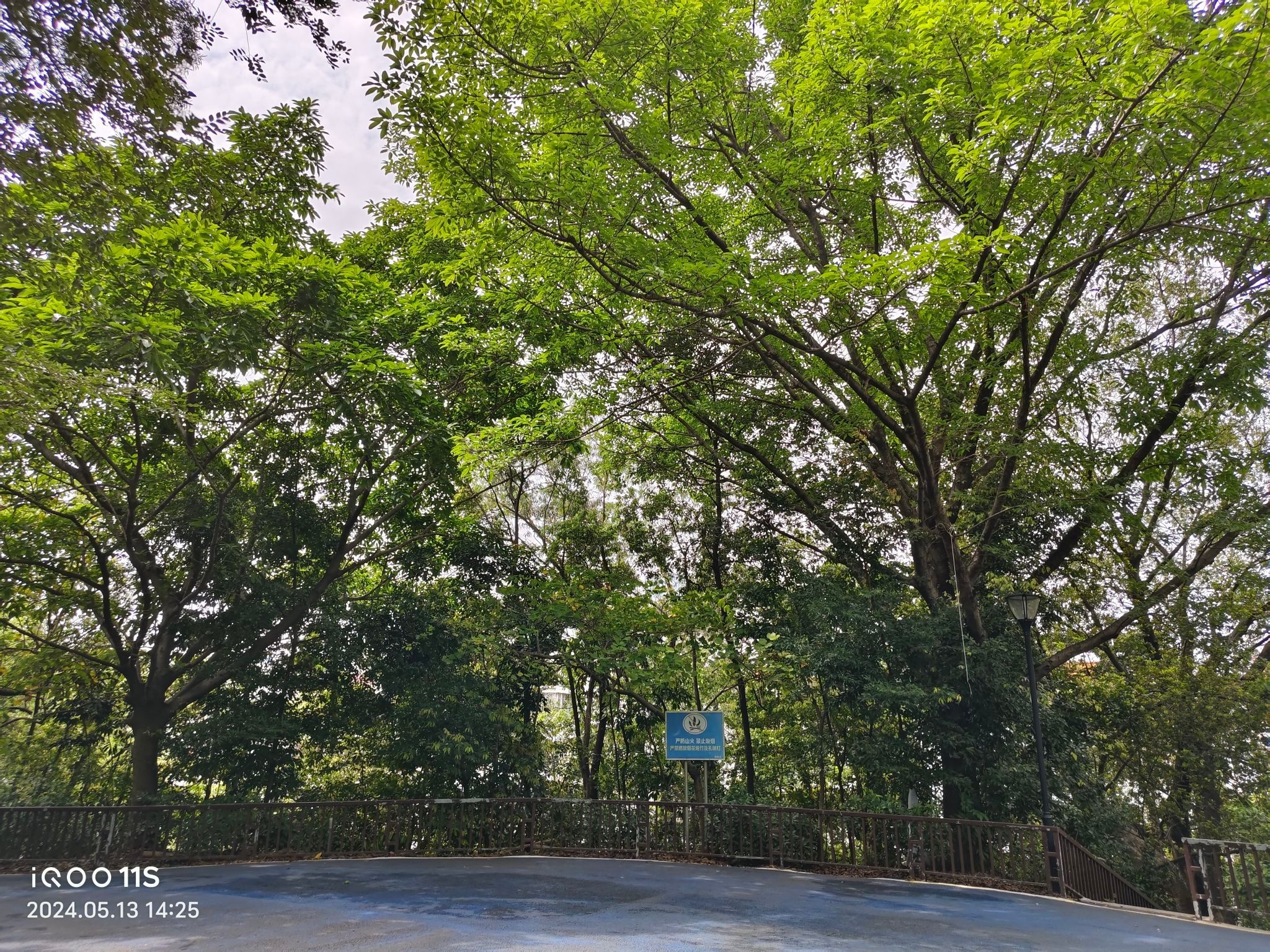 育德山公园旅行图片 2
