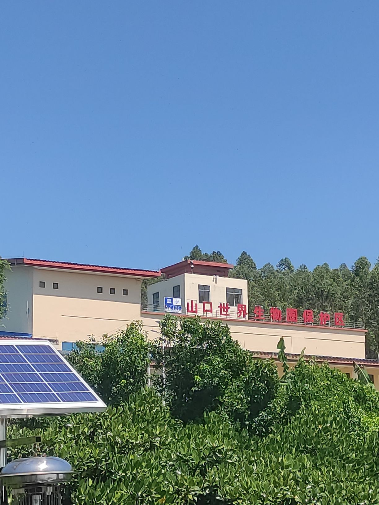 北海英罗红树林保护区旅行图片 2