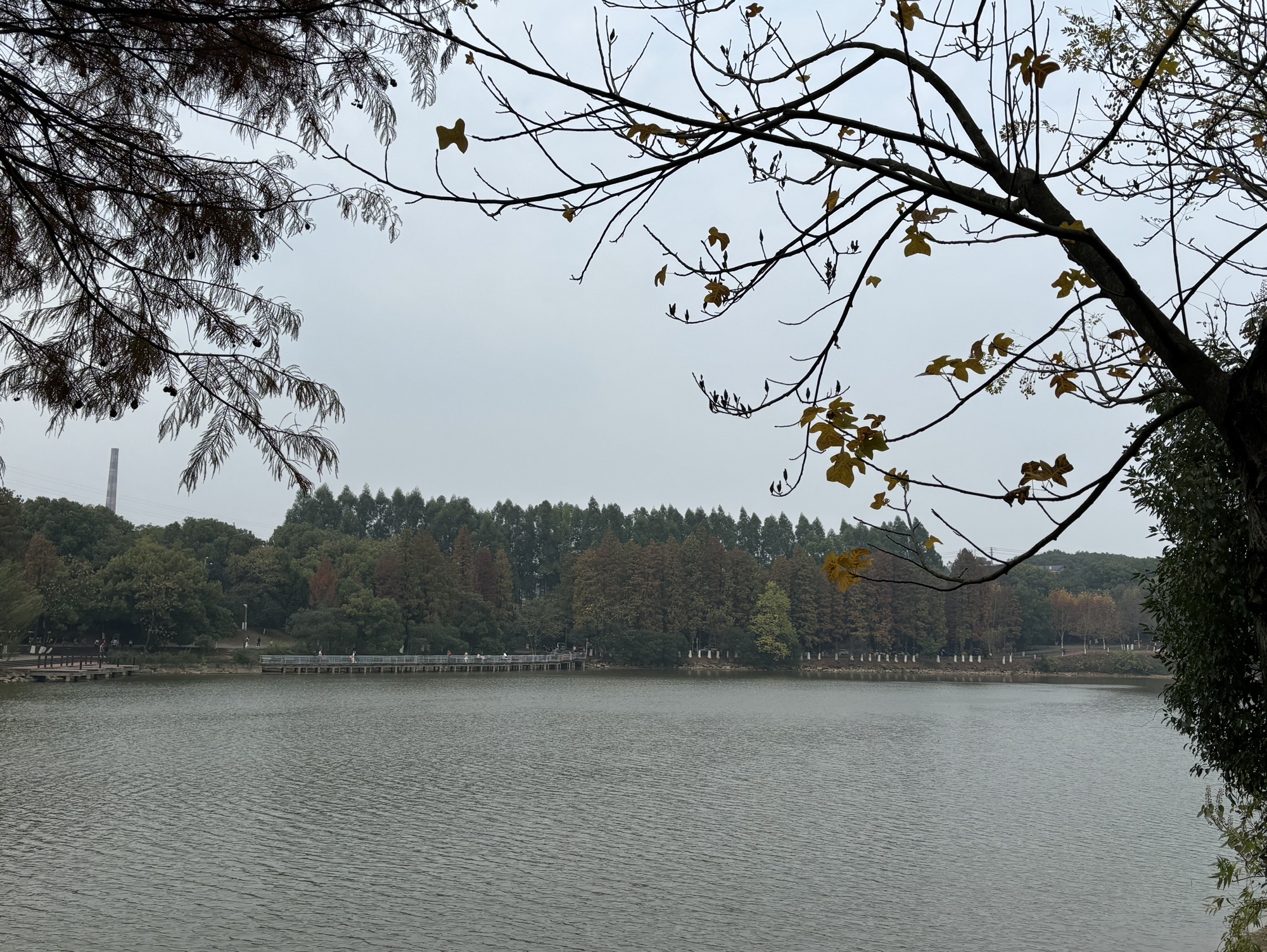 南湖景区旅行图片 3